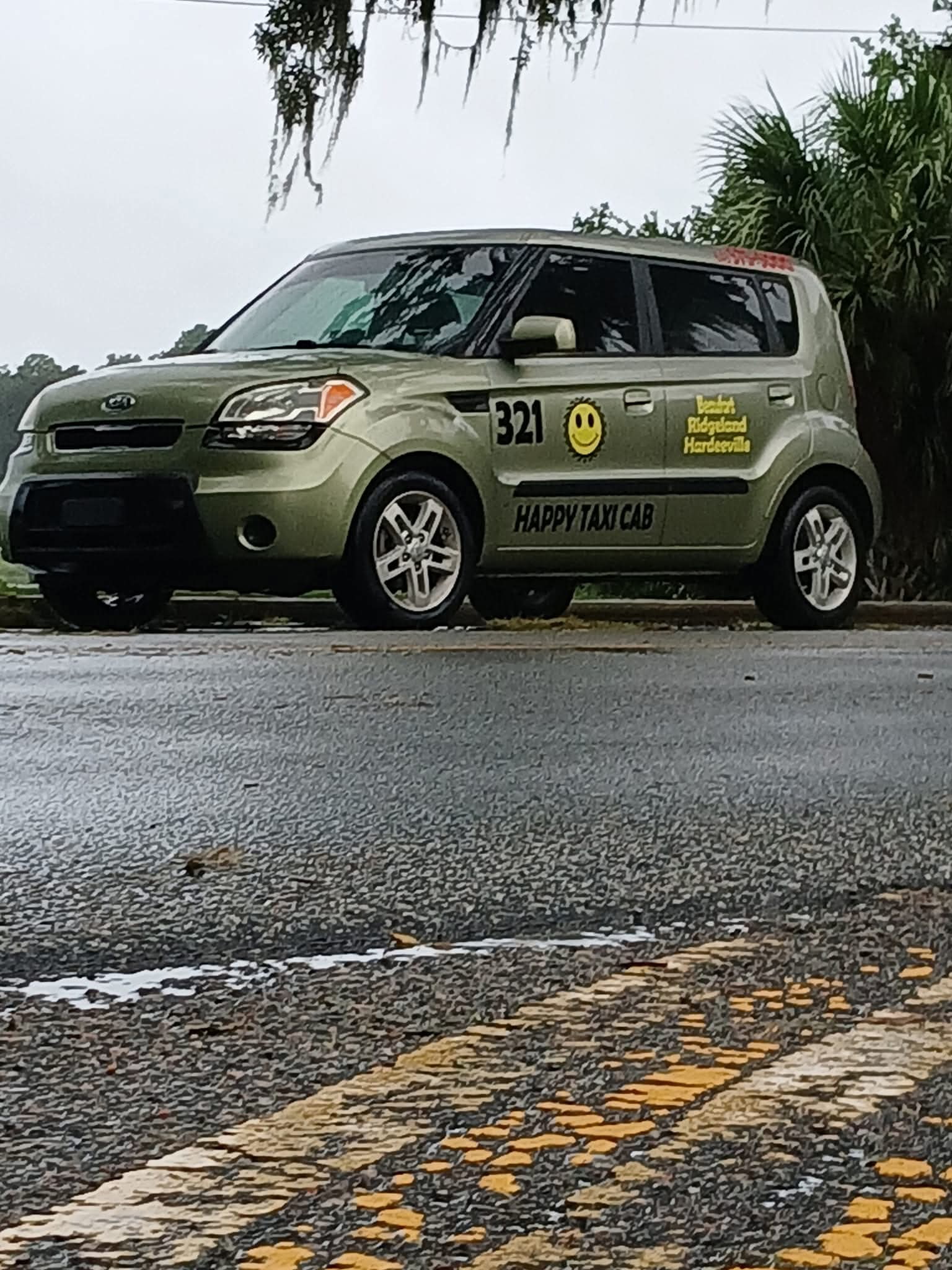 Green compact car with smiley face and yellow signs parked on roadside with trees in background.