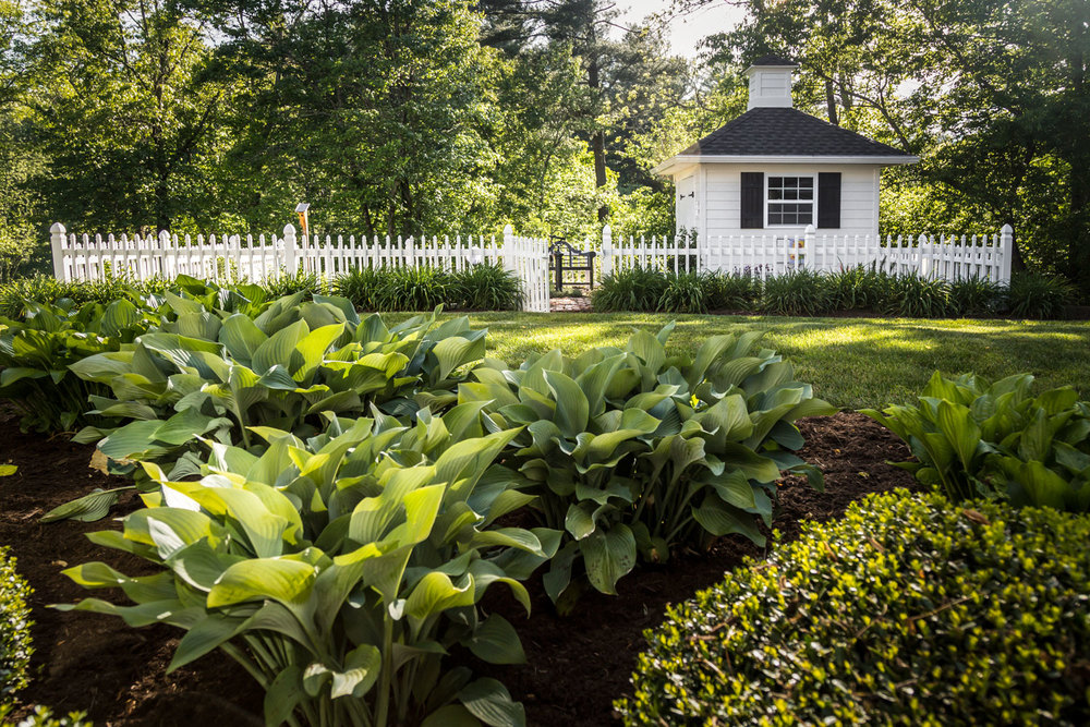 Garden with lush green plants, a white picket fence, and a small white building in the background, surrounded by trees.