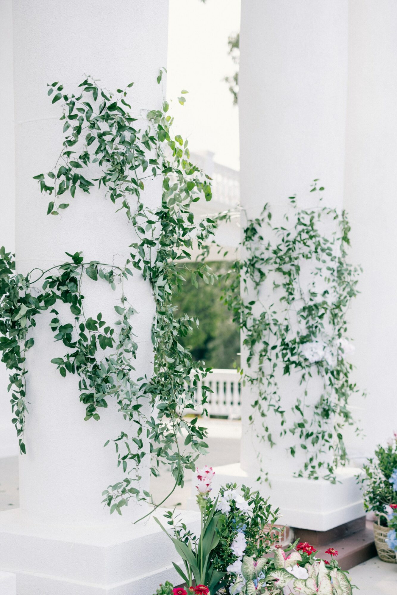 White columns with green climbing plants and flowers at the base, outdoor setting with a white railing in the background.