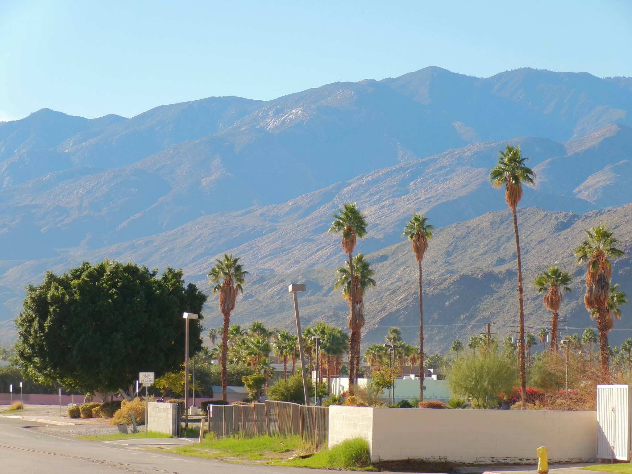 Scenic view of mountains with palm trees and a clear sky, foreground includes trees, bushes, and a white wall.