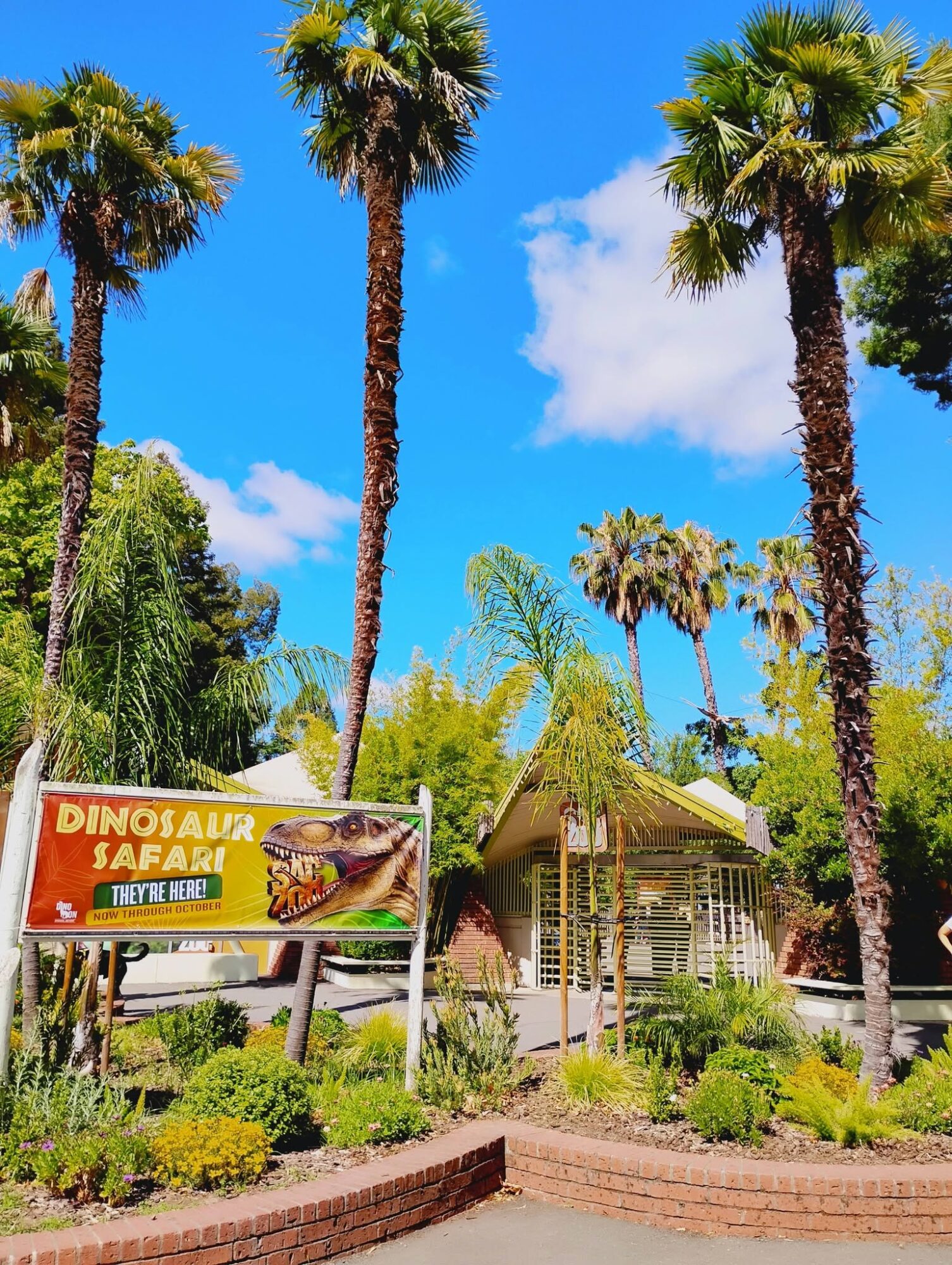 Palm trees, a building, and a sign for Dinosaur Safari under a blue sky with clouds.