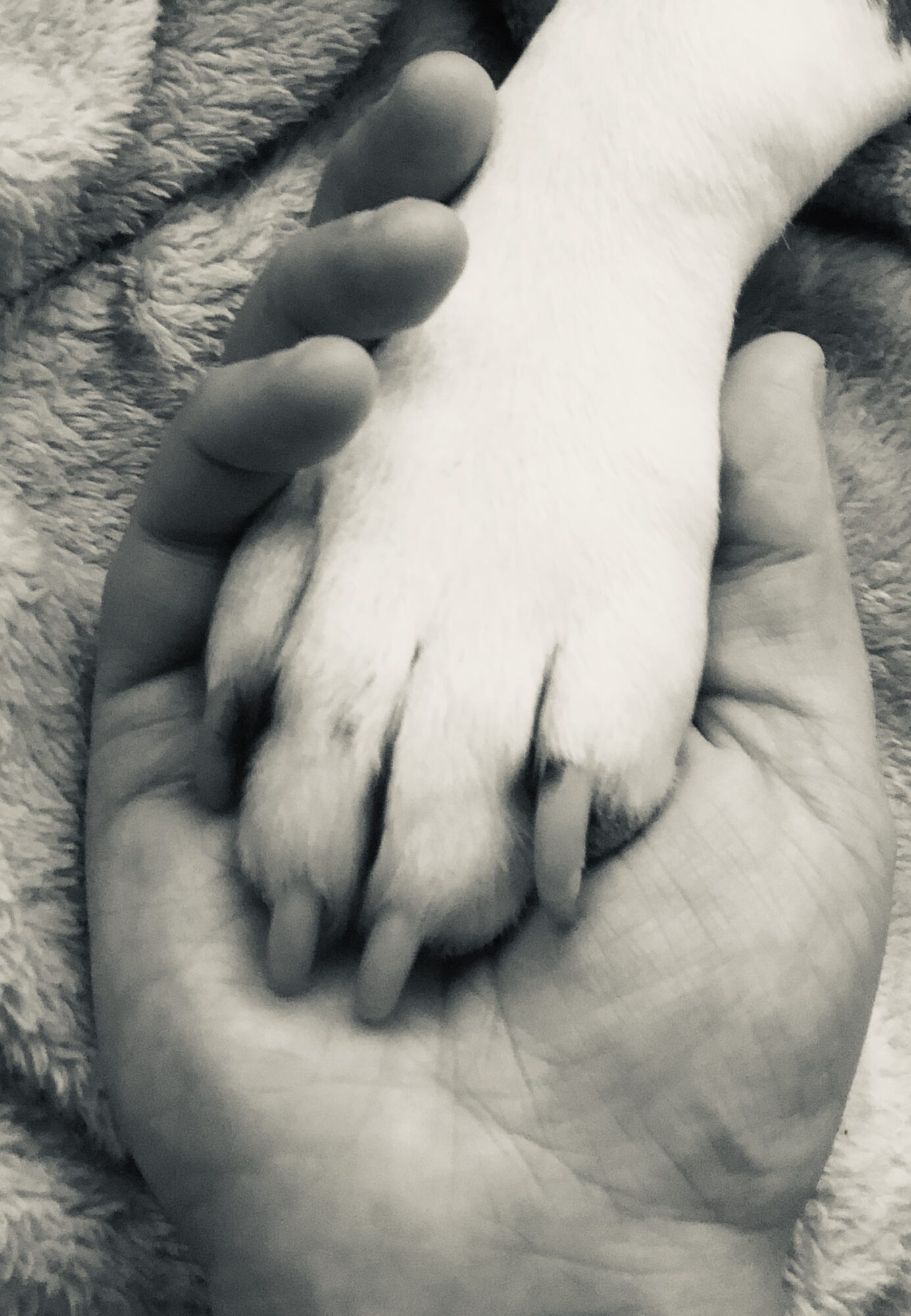 A small hand holding a larger hand, both hands resting on a soft surface.