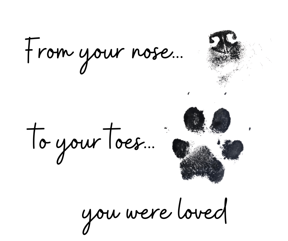 Text with a paw print and a small logo, reading 'From your nose... to your toes... you were loved'.