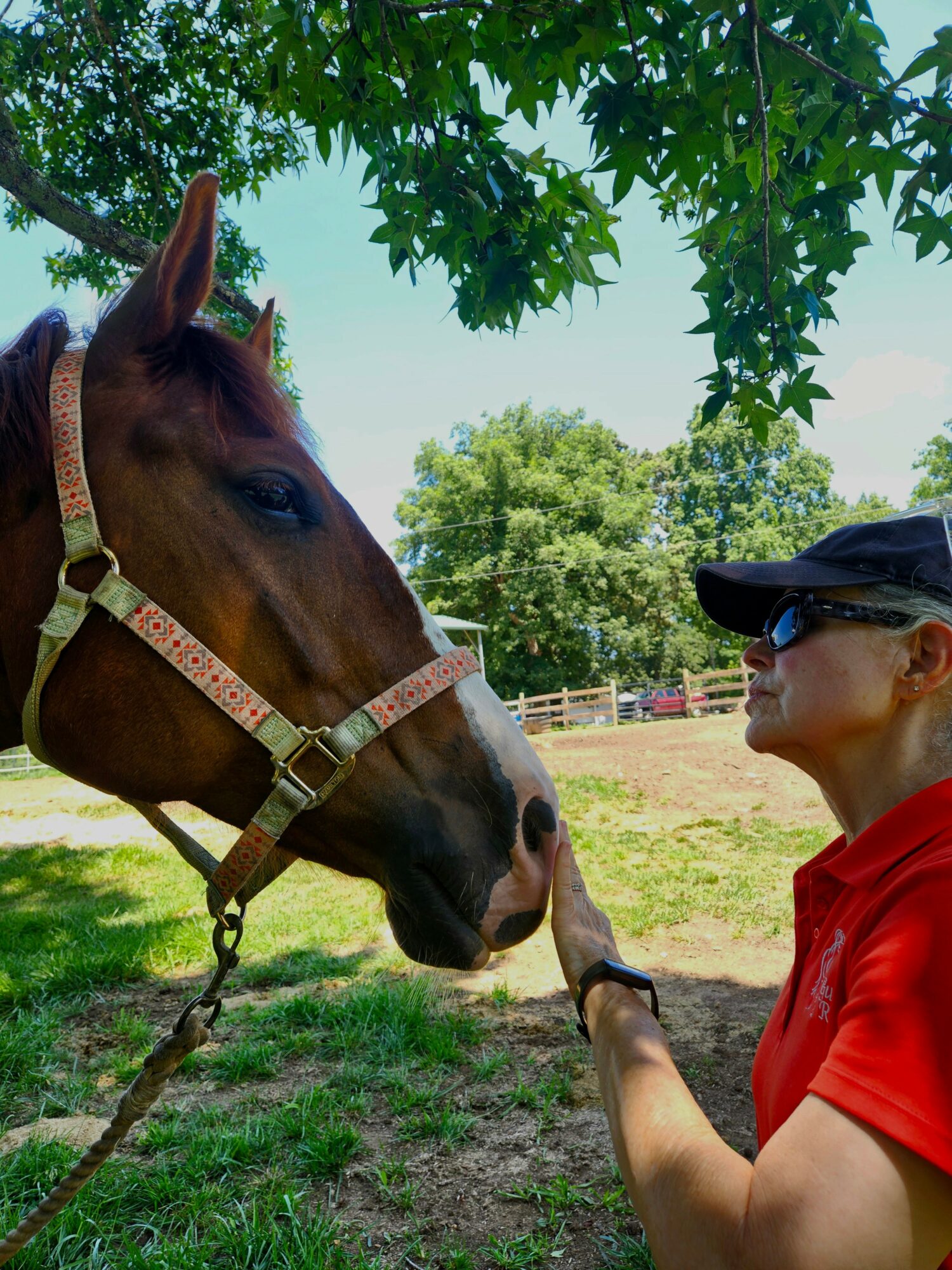 Person in red shirt and sunglasses reaching out to a horse outdoors under trees.