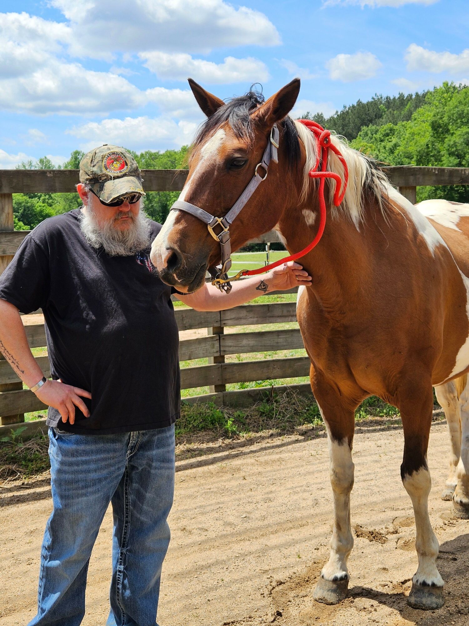 Person wearing a black jacket and jeans standing next to a brown and white horse with a red halter outdoors.