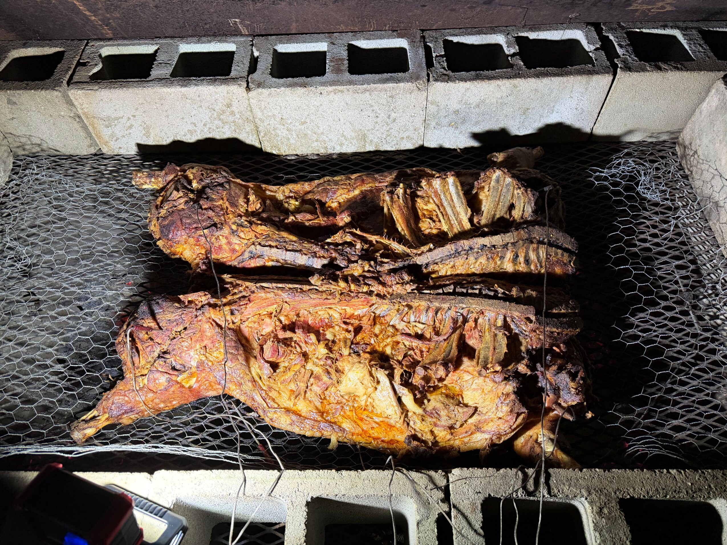 Two pieces of cooked meat on a grill with a wire mesh, with cinder blocks in the background.