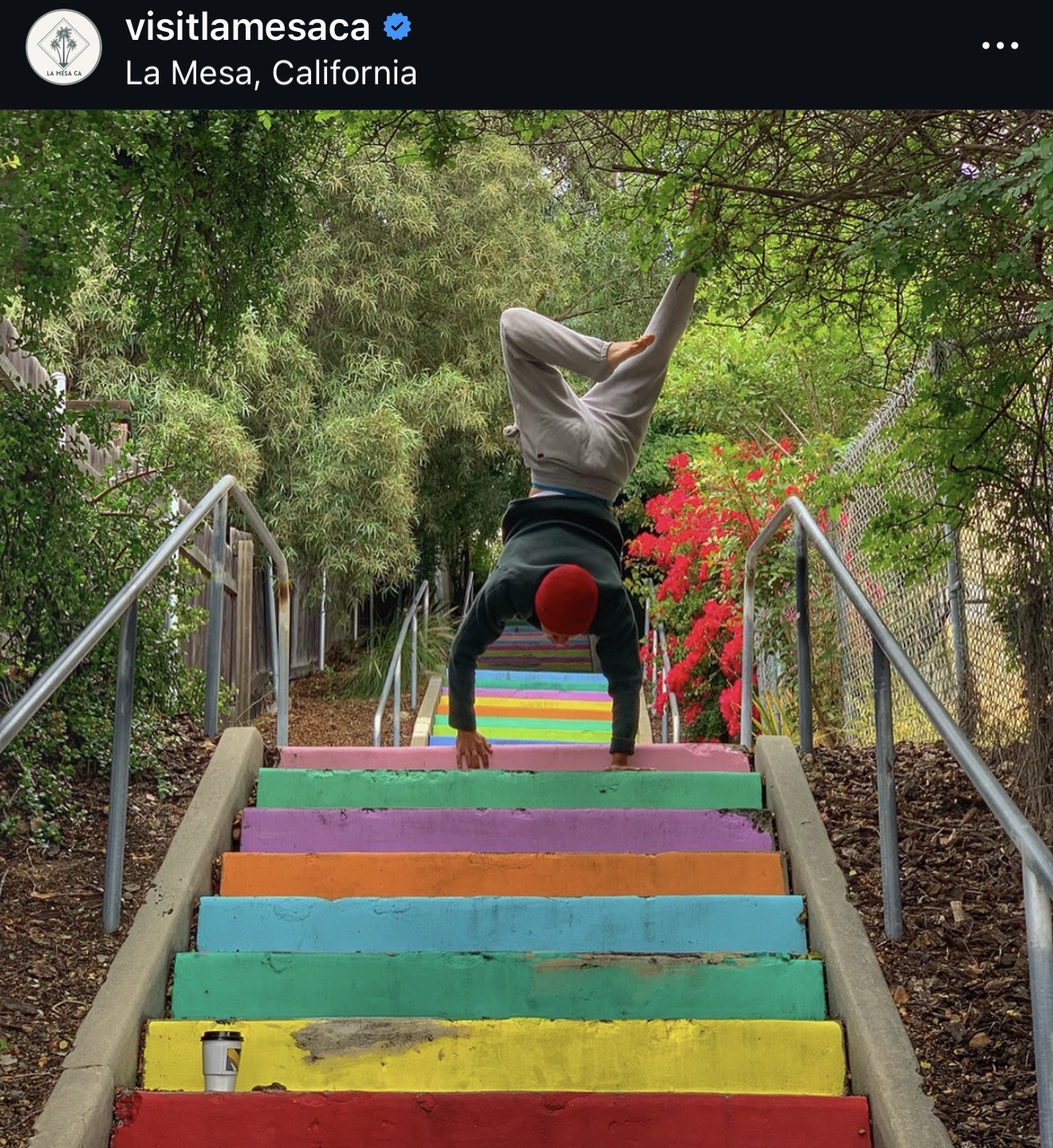 Person performing a handstand on colorful stairs outdoors, surrounded by trees and greenery, with a red hat and gray pants.