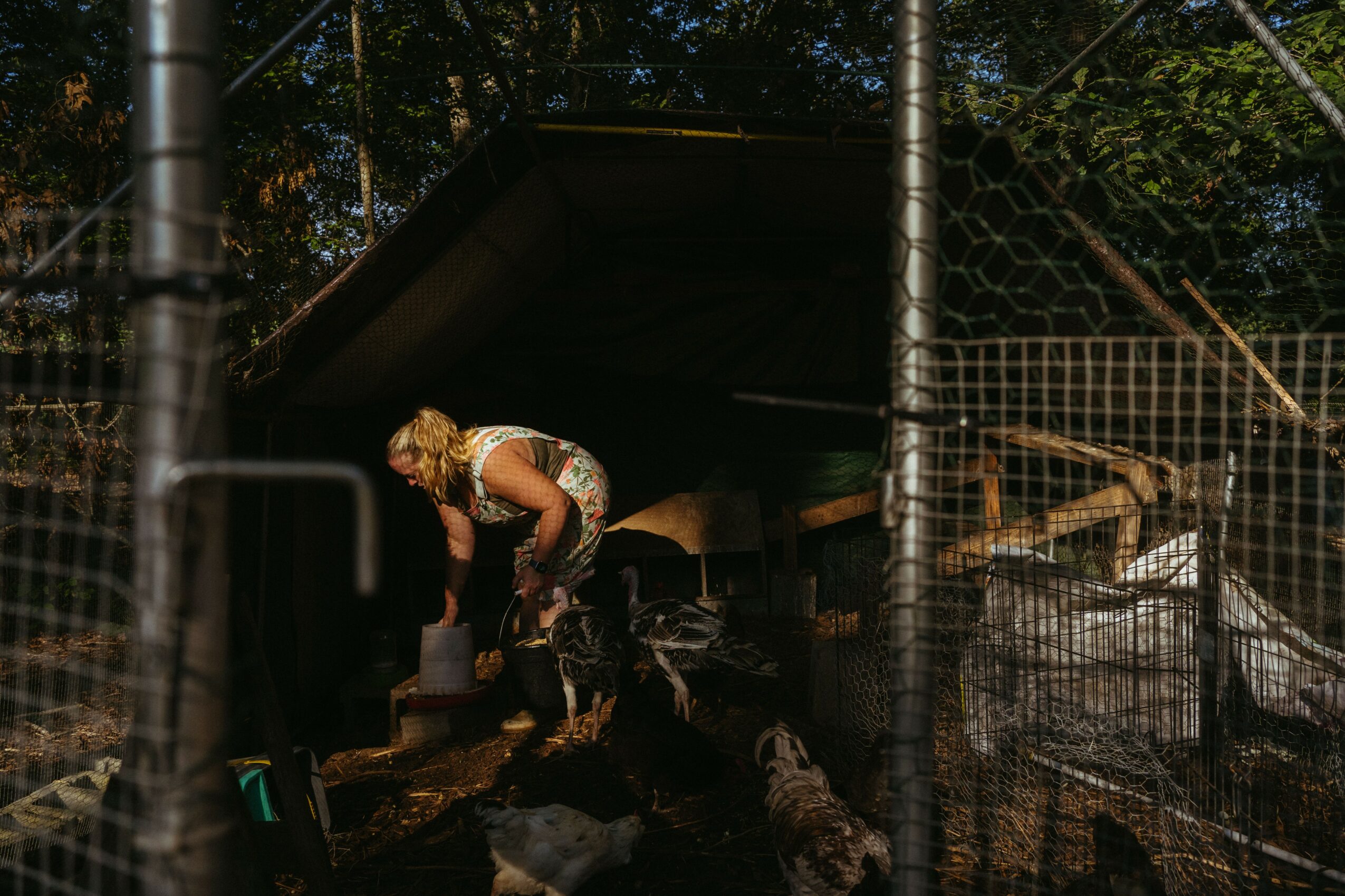 Person bending over near a fenced outdoor structure, surrounded by trees, with sunlight filtering through leaves.