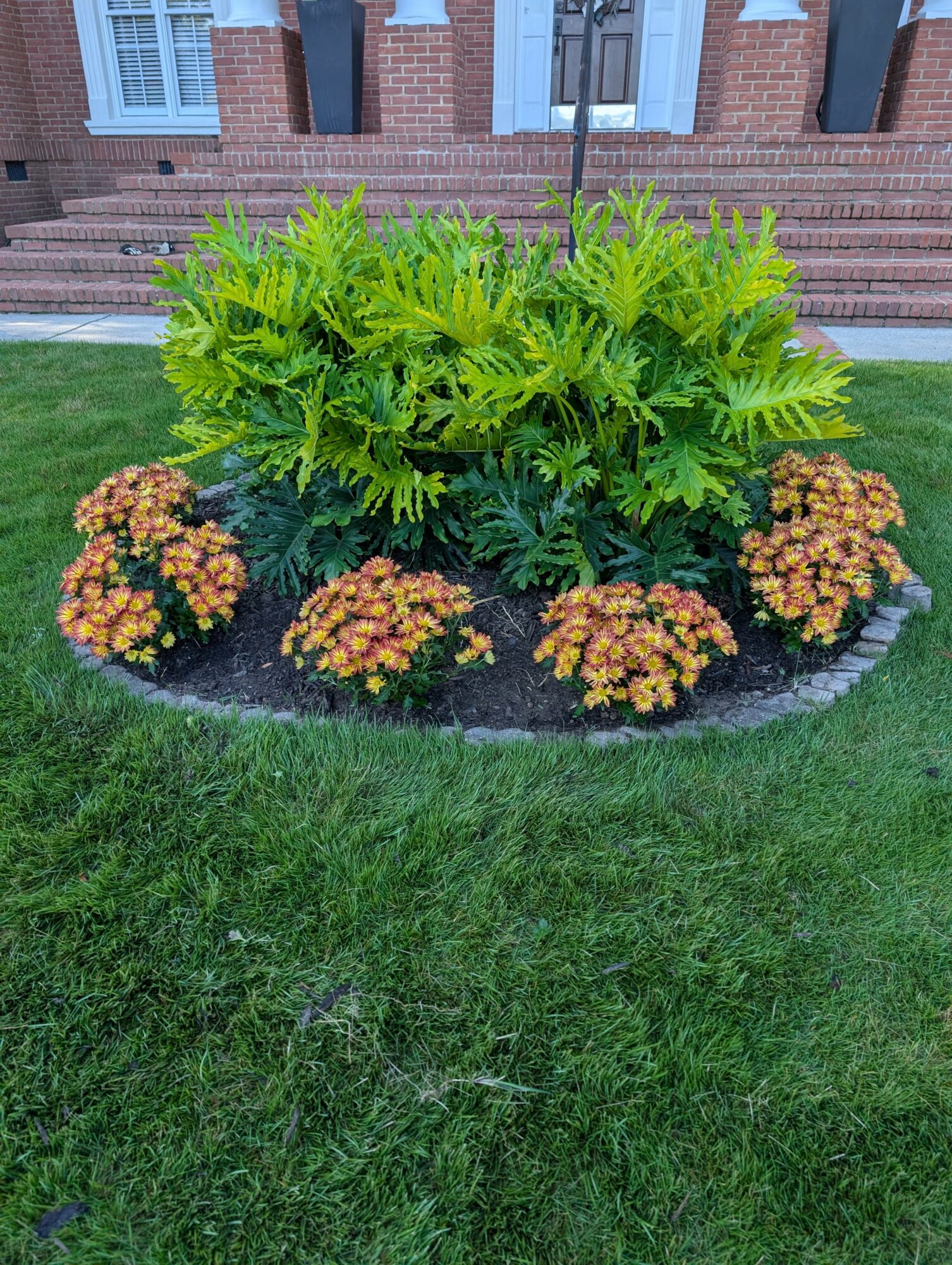 A landscaped garden bed with green plants and orange flowers, surrounded by a brick building and steps, with a grassy lawn in front.