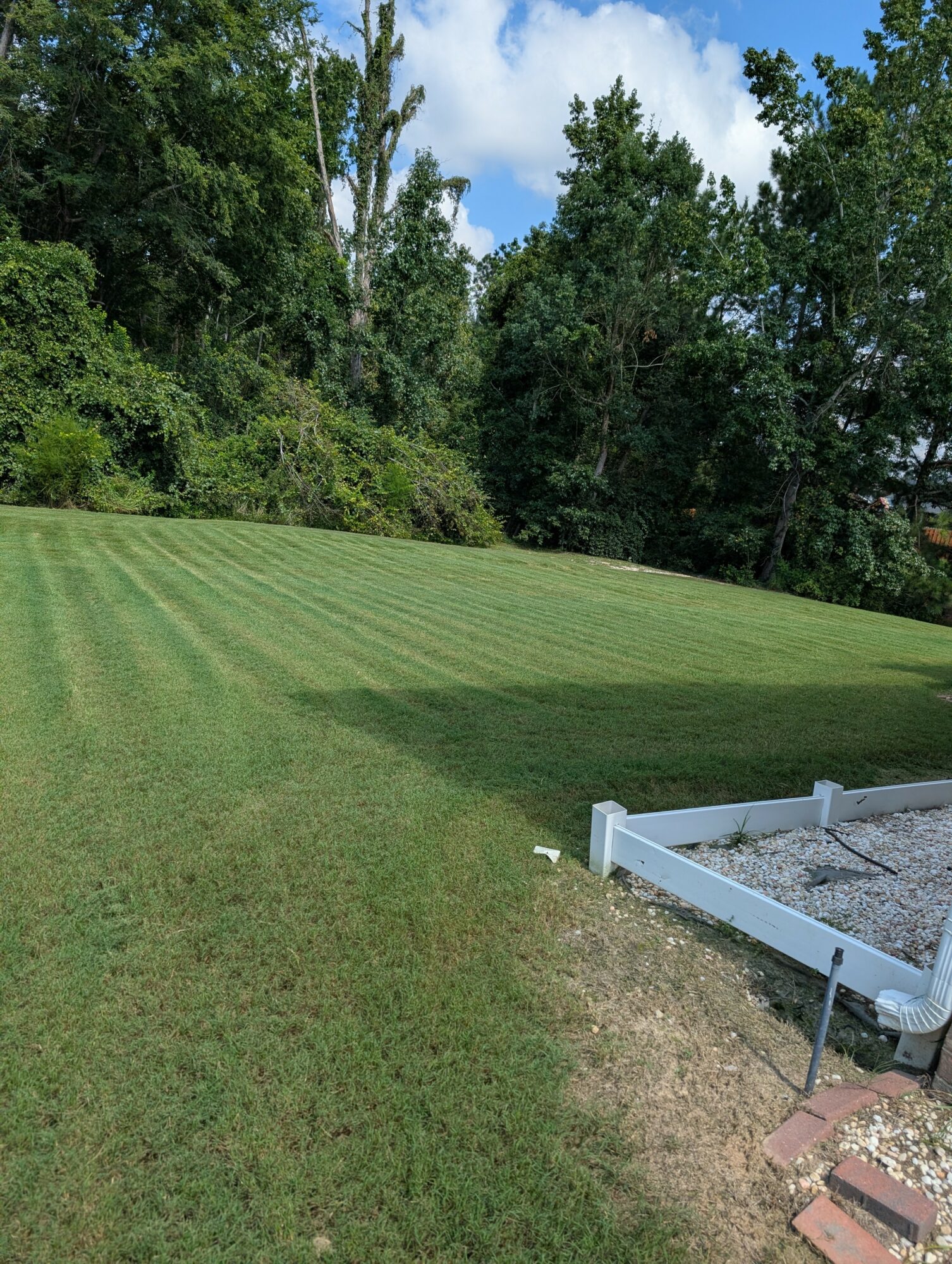 Lawn with trees and a white garden bed frame on the right side, under a partly cloudy sky.