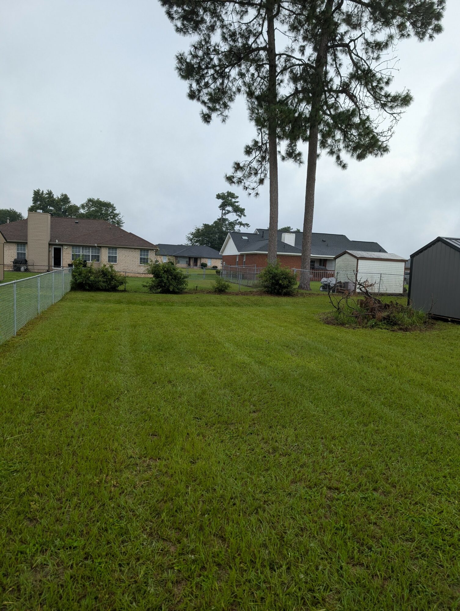 Lush green backyard with trees, houses, and a cloudy sky in the background.