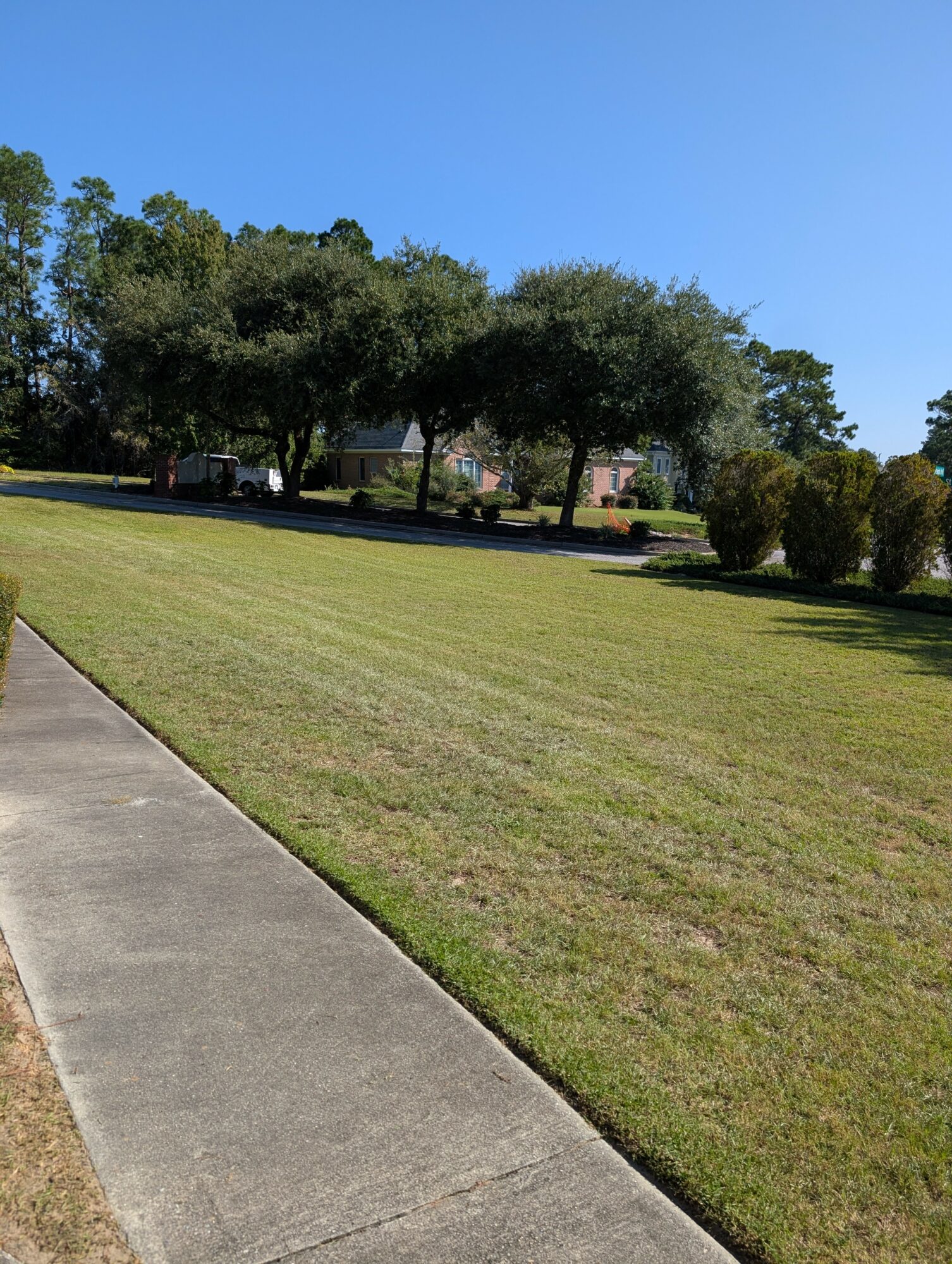 Sidewalk runs alongside a grassy area with trees and bushes under a clear blue sky.