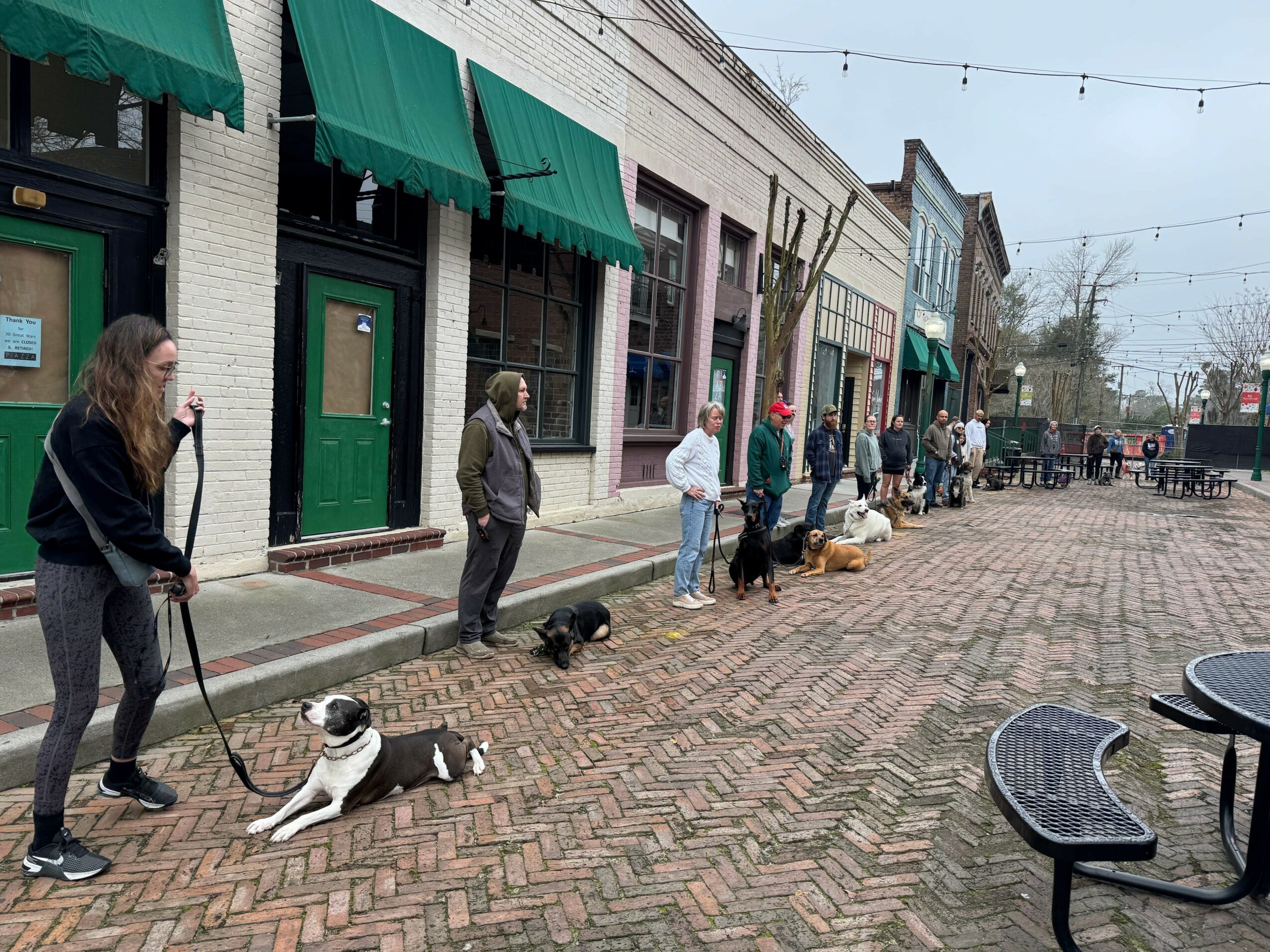 People standing in line with dogs on leashes on a brick sidewalk outside storefronts with green awnings.