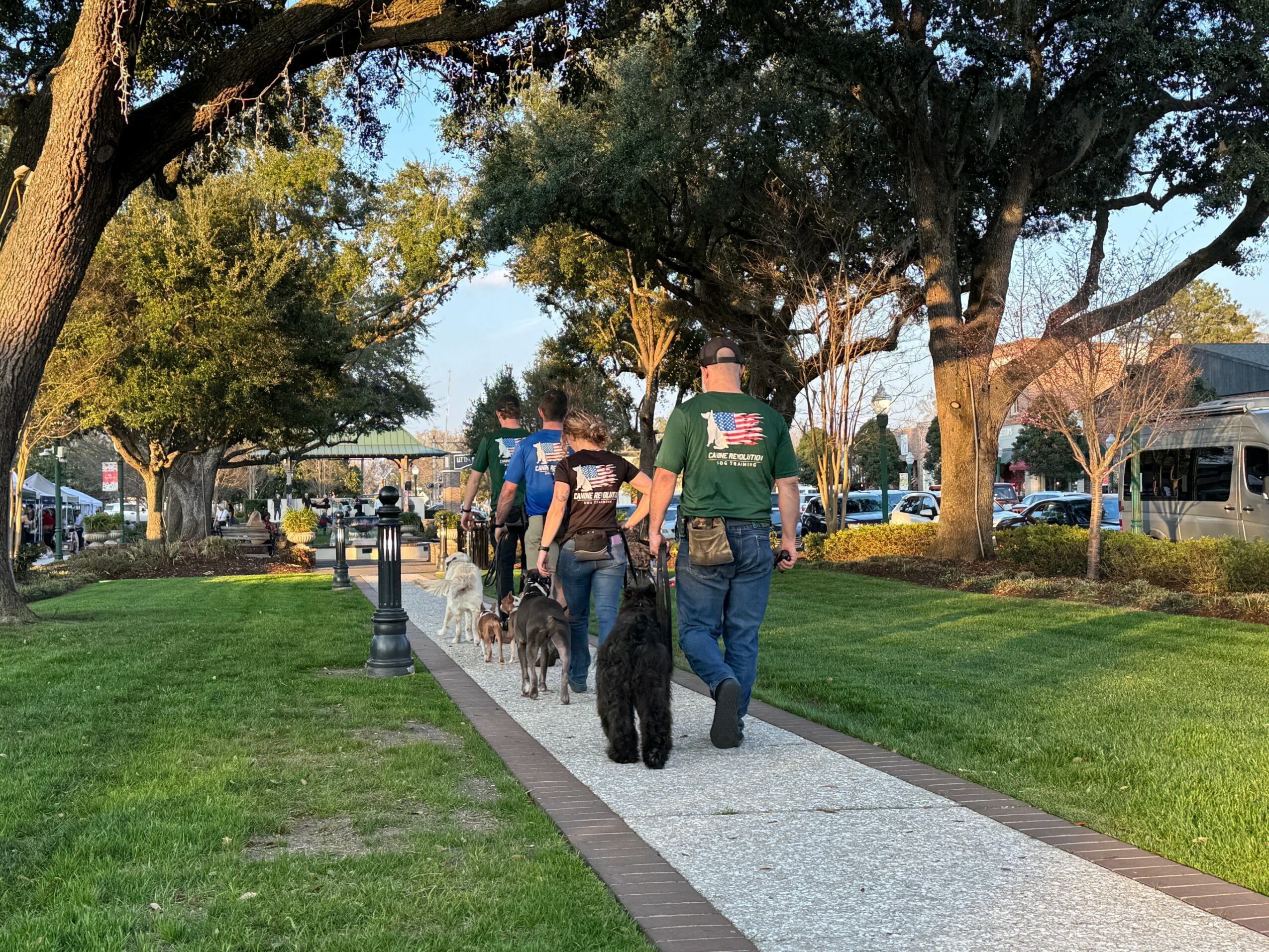 People walking on a sidewalk with dogs, trees, and grass on both sides, sunny day, park-like setting.