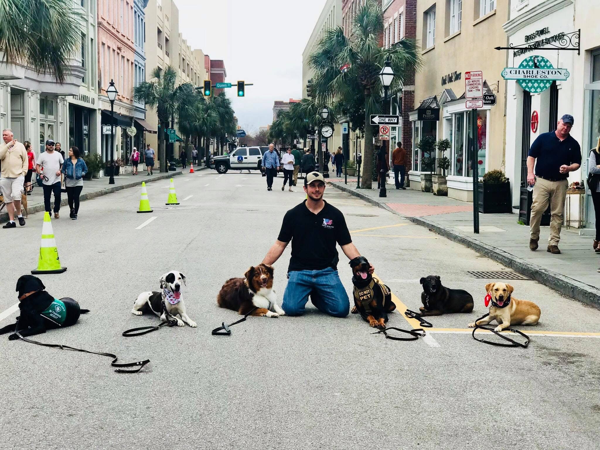 Person kneeling on a city street with five dogs on leashes, surrounded by pedestrians and storefronts.