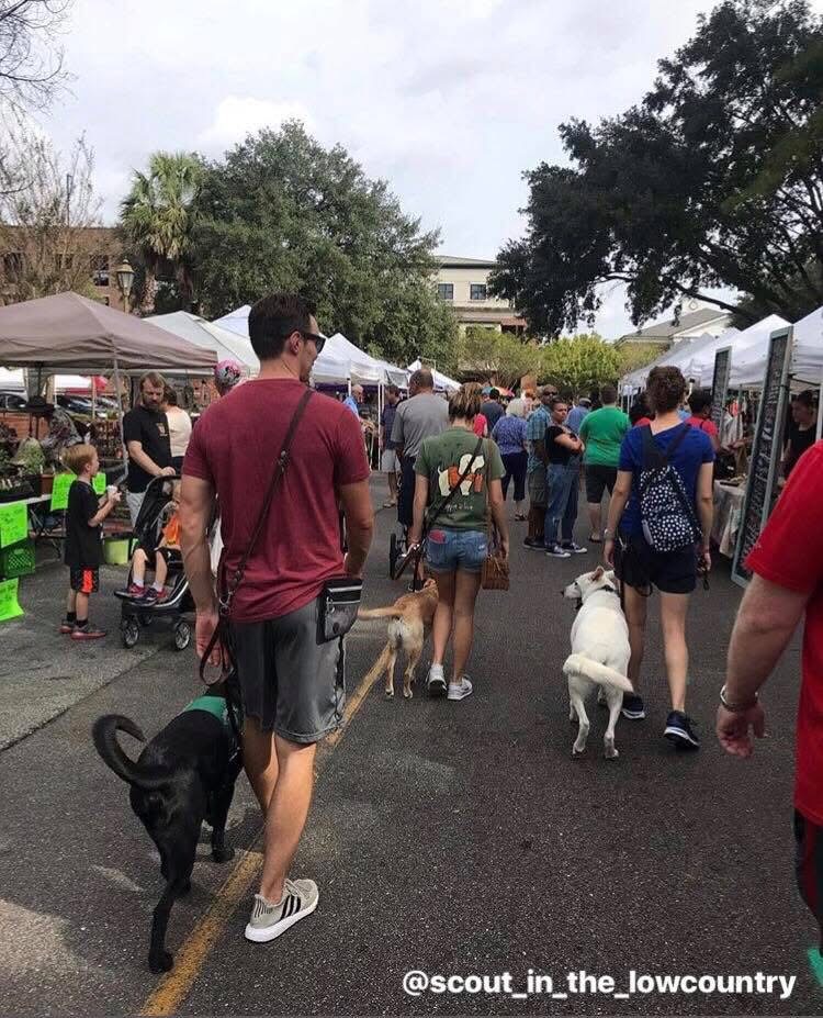 People walking through outdoor market with tents, trees, and buildings in background, some with dogs, on a cloudy day.