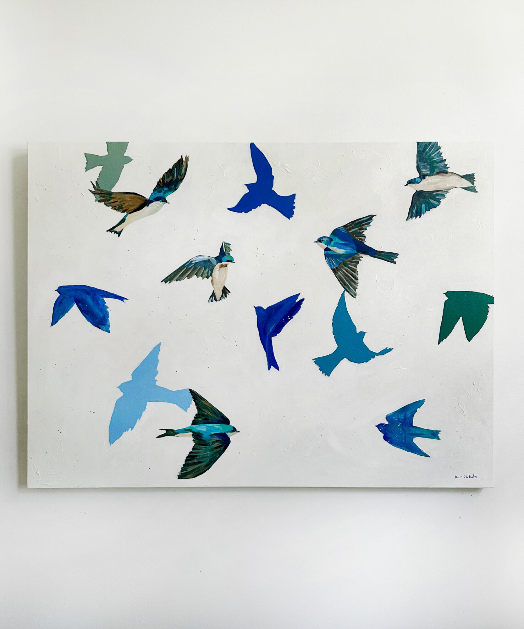 Collage of various bird images in flight, with some in color and others in silhouette, on a white background.