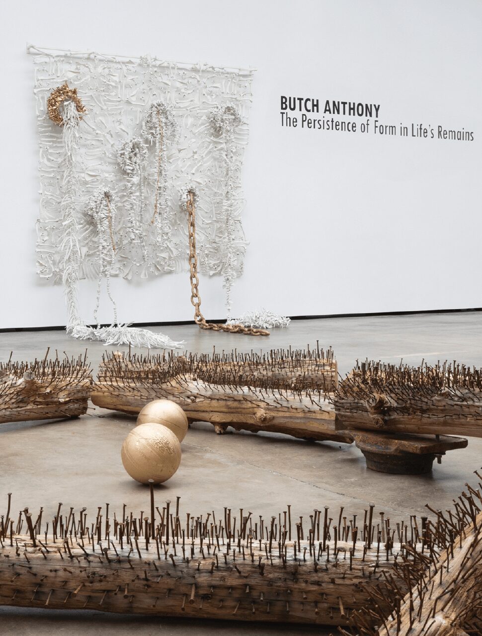 Book cover titled 'The Persistence of Form in Life's Remains' by Butch Anthony, with textured artwork and objects in front.