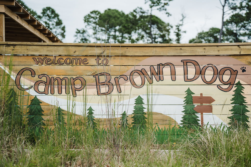 Wooden sign with painted trees and hills, welcoming visitors to Camp Brown Dog, with a background of trees and sky.