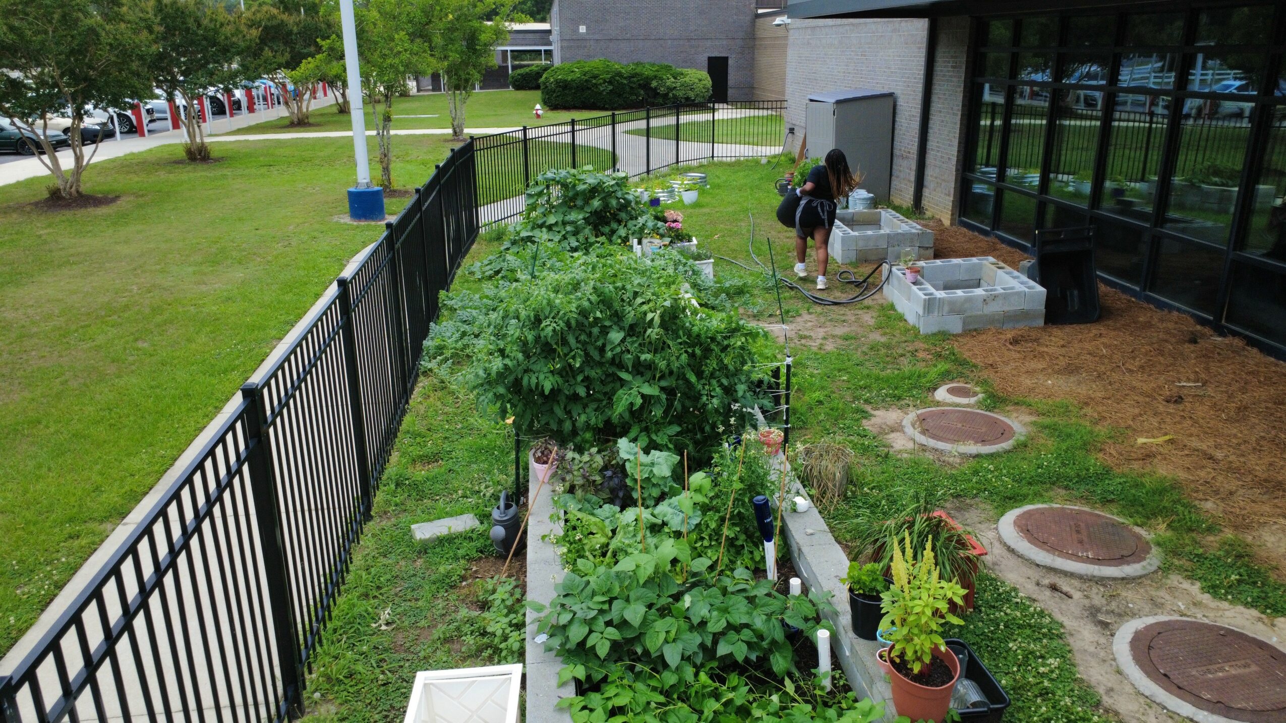 People working in a garden area with plants, trees, and circular stepping stones near a building, fenced on one side.
