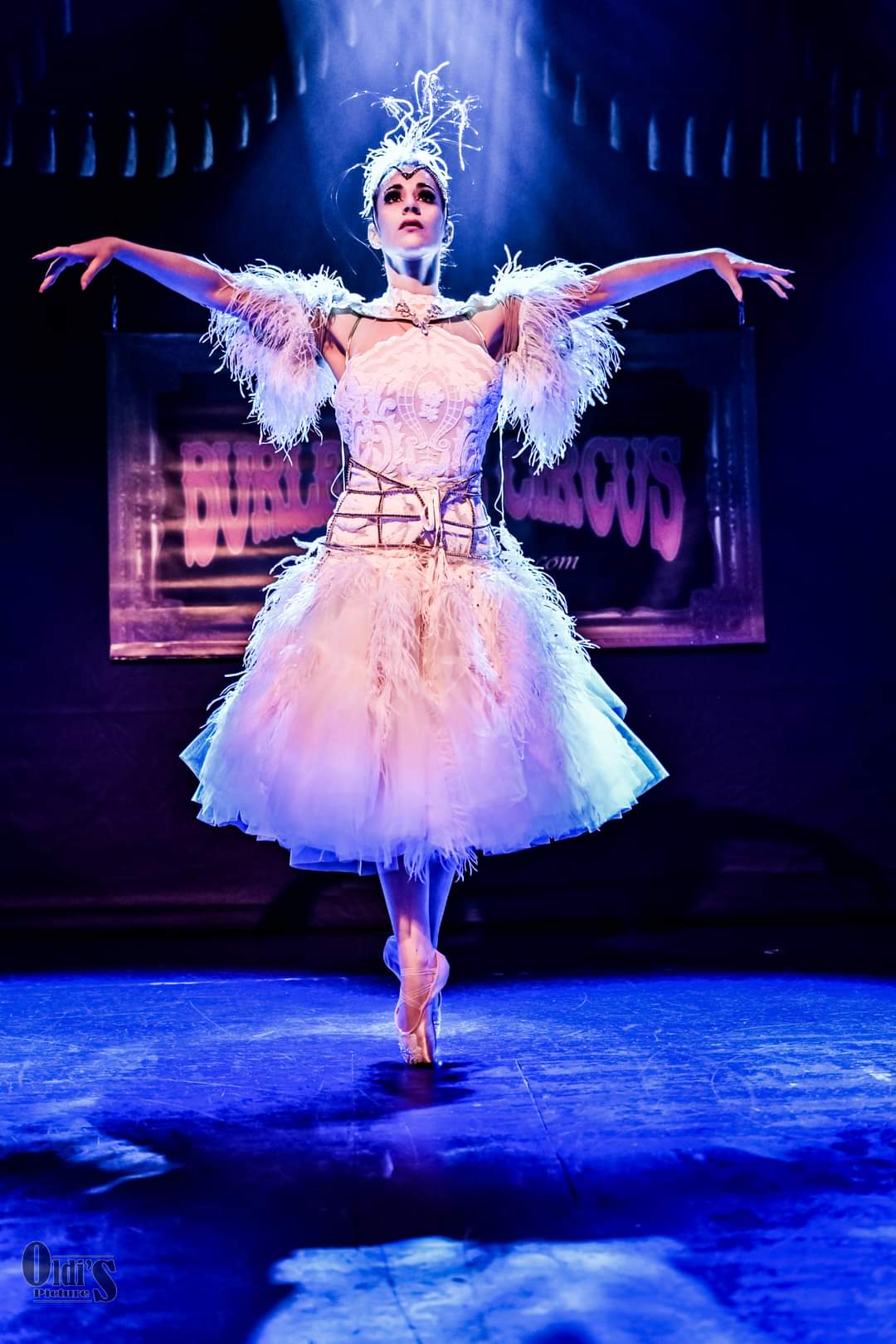 Ballet dancer in a tutu and feathered costume performs on stage with arms extended, spotlight shining down, dark background.