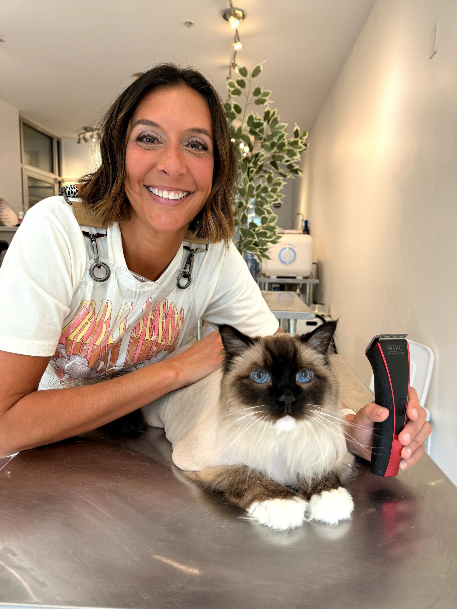 Woman smiling with a fluffy cat on a table, holding a grooming tool, in a room with plants and equipment.