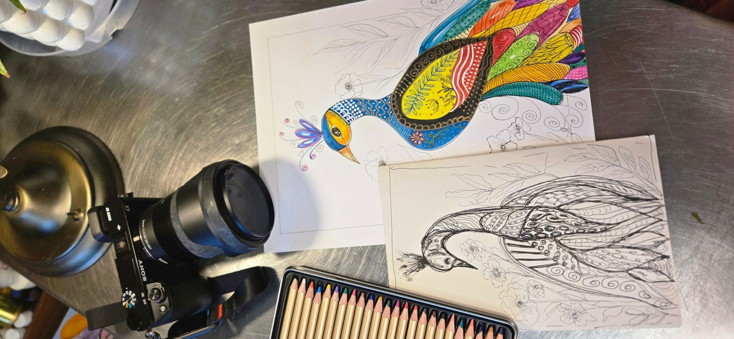 Colorful bird drawing, black and white bird sketch, art supplies, and a camera on a table.