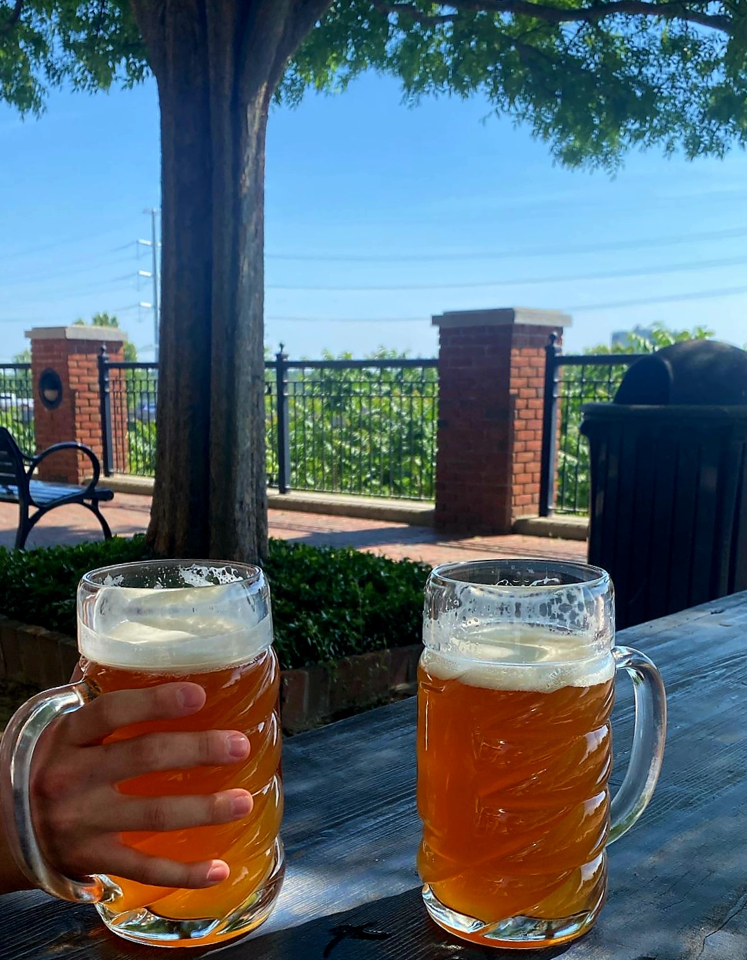 Two glasses of beer on a wooden table outdoors, with a tree, fence, and blue sky in the background.