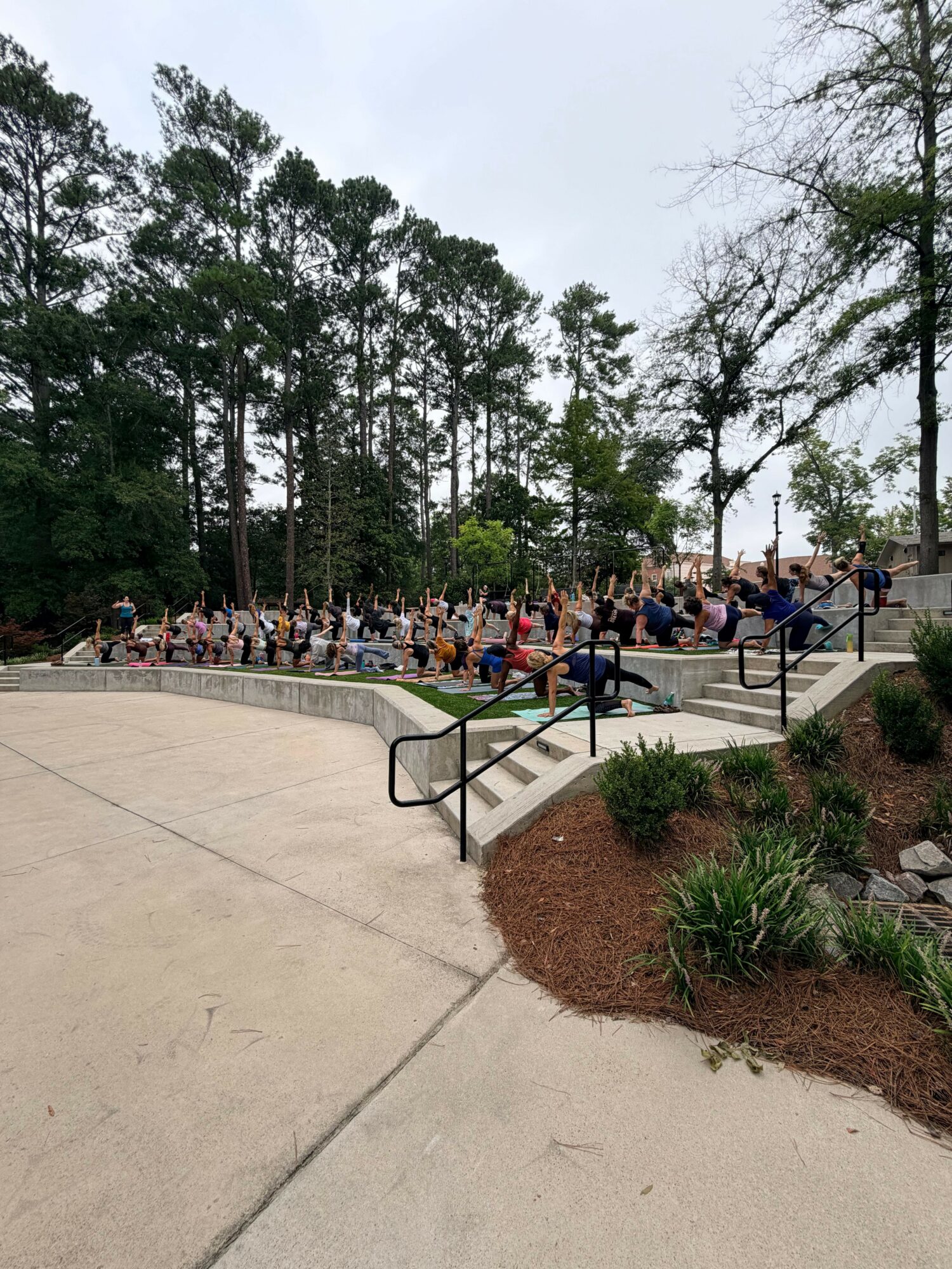 People gathered outdoors near trees and a pathway, some sitting on benches and others standing, with greenery around.