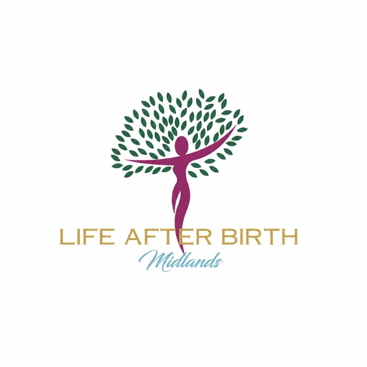 Logo with a stylized person and tree, text reads 'LIFE AFTER BIRTH Midlands'.