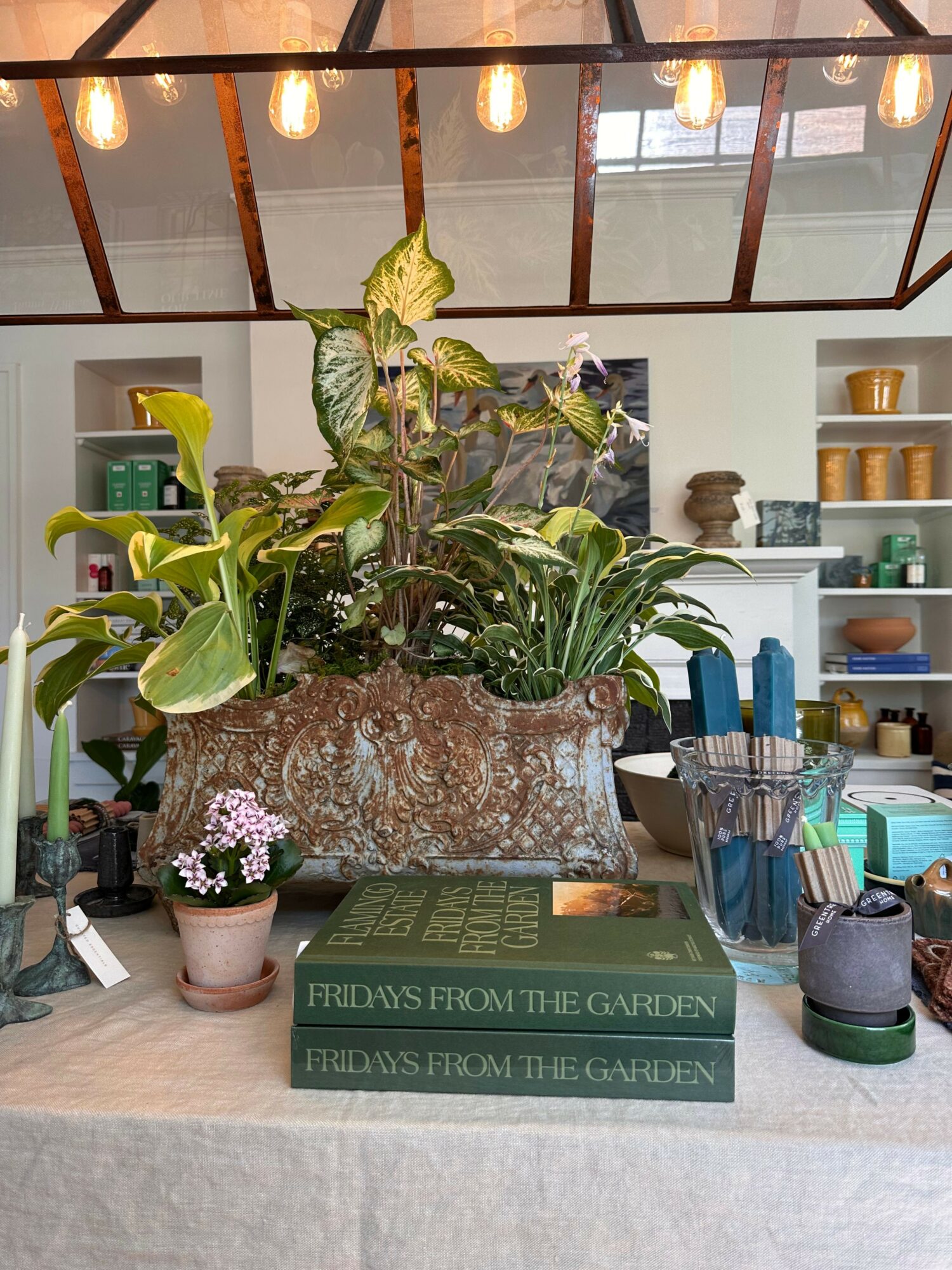 Indoor space with plants, books, and decorative items on a table, with a mirror and lights in the background.
