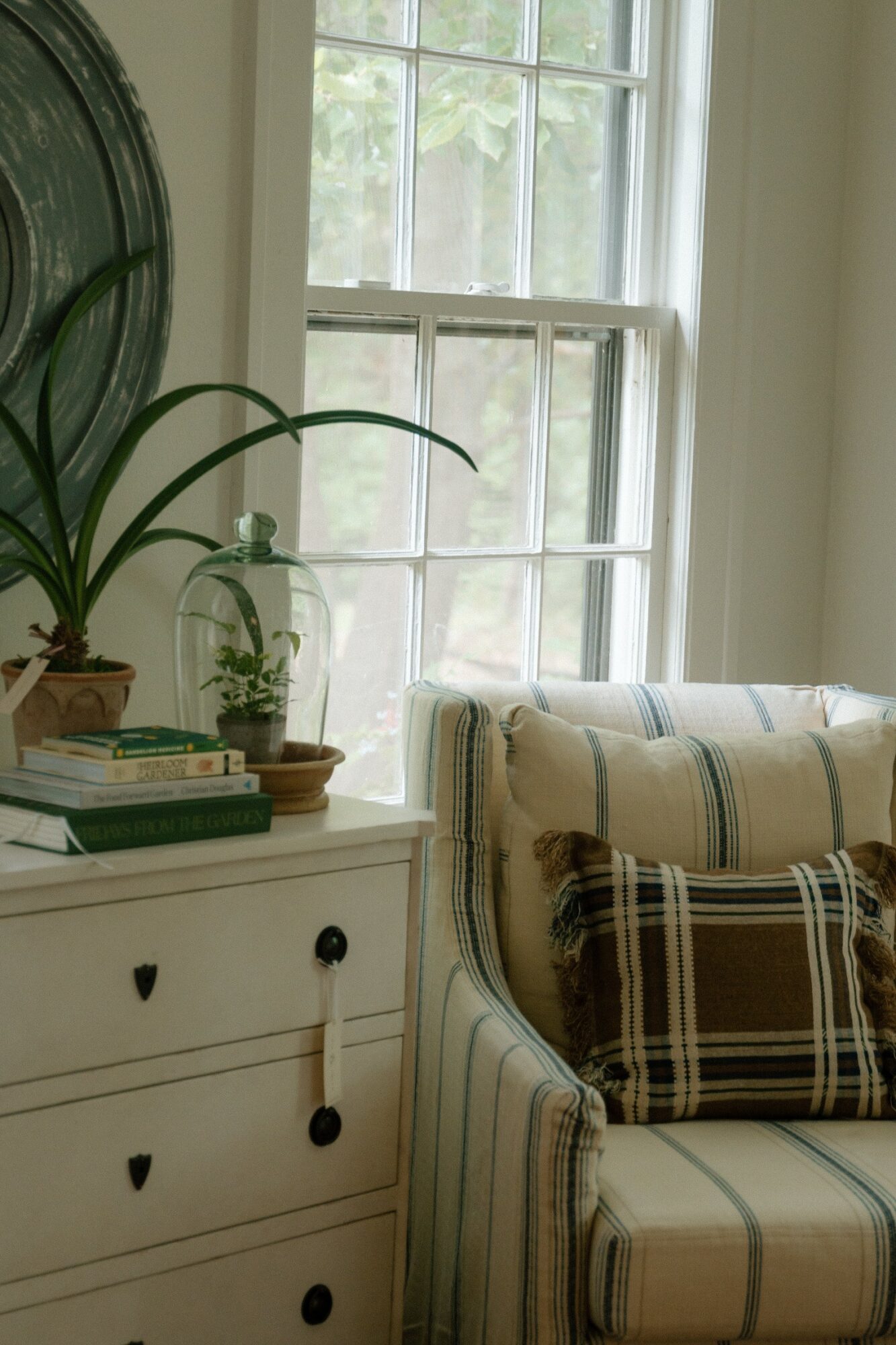 Interior scene with a window, a white dresser with plants and books, and a striped armchair with a plaid pillow.