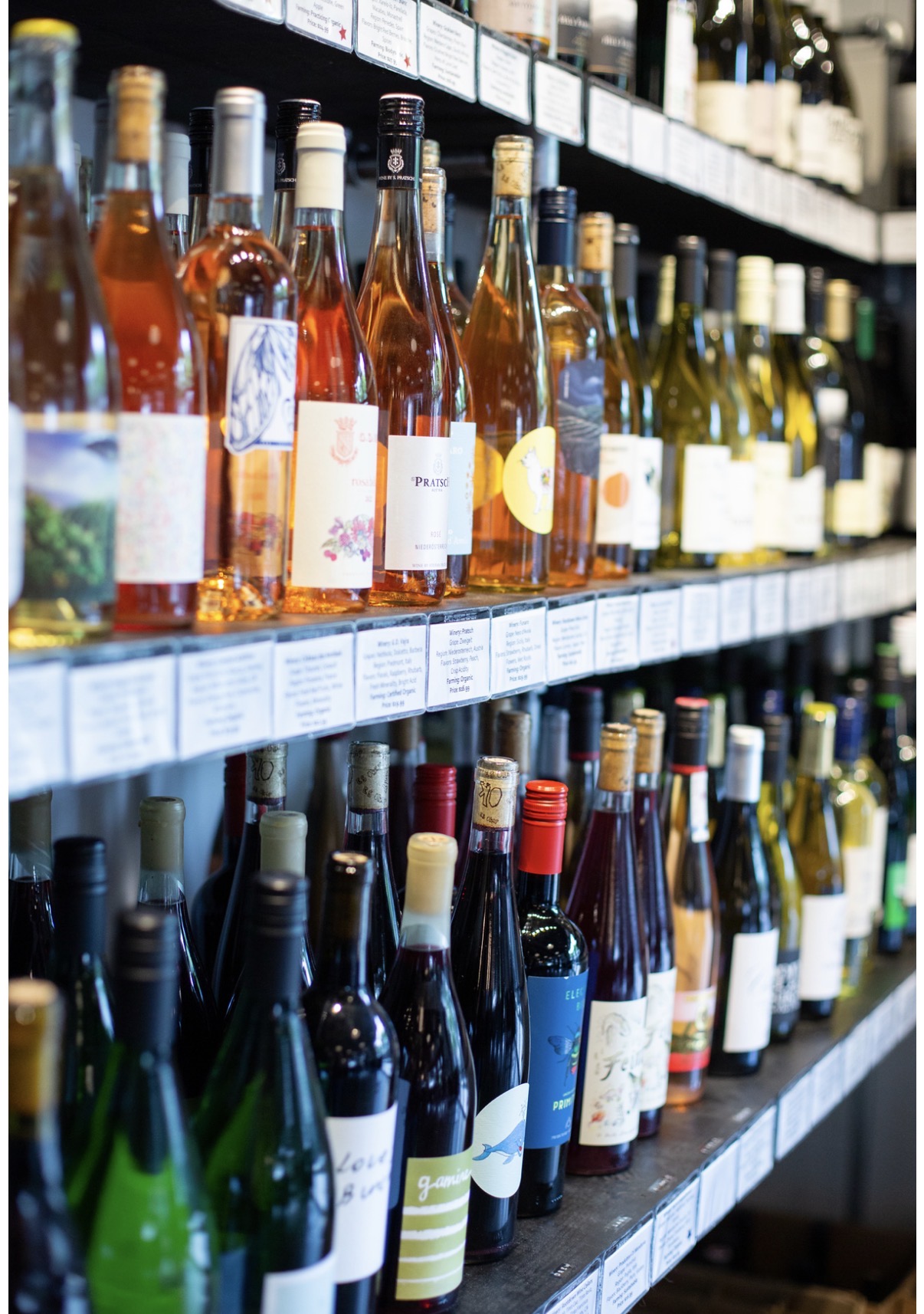 Shelves stocked with various bottles of wine and spirits in a store, organized by type and color.