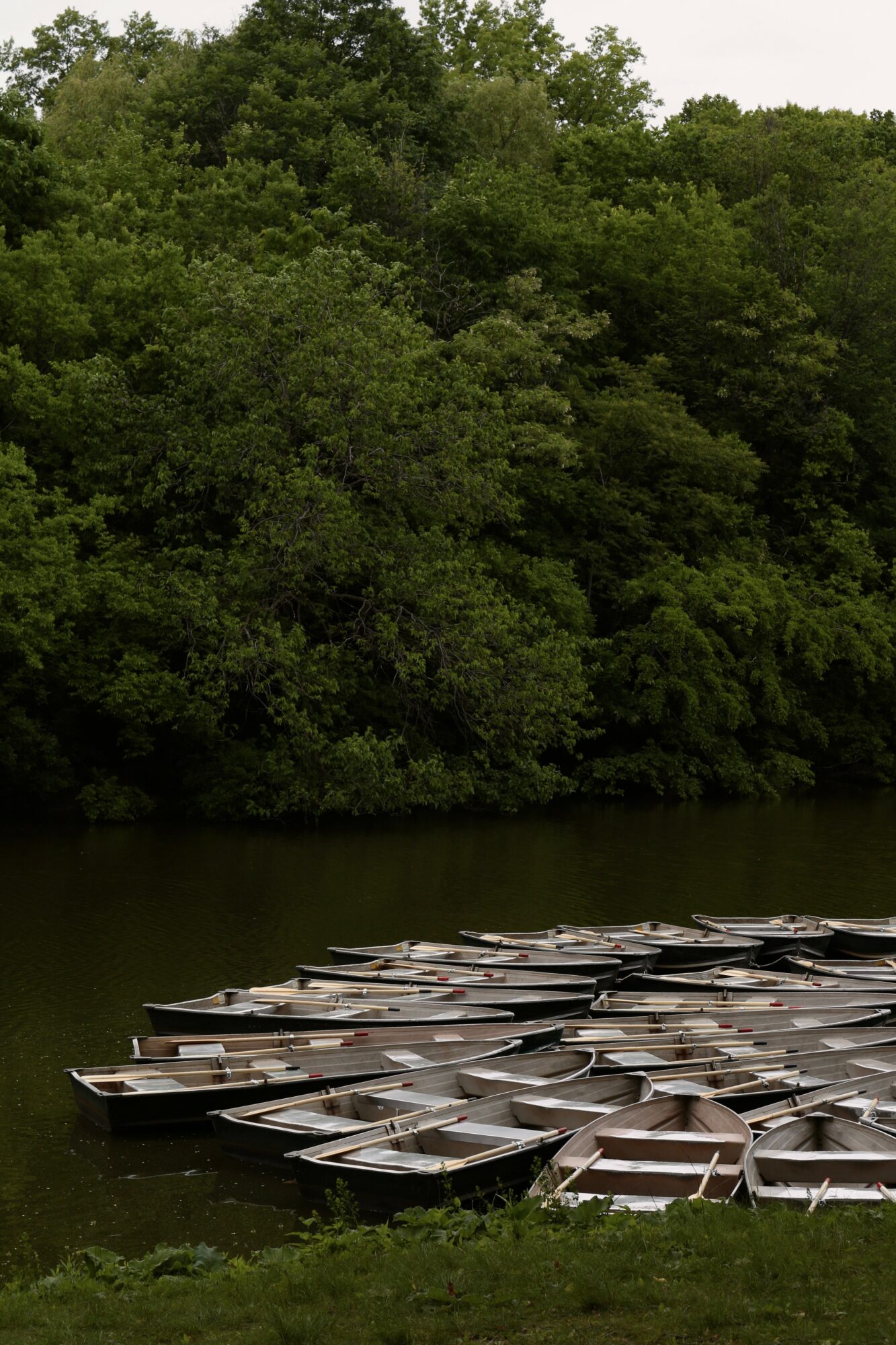 Boats docked along a riverbank with dense green trees in the background.