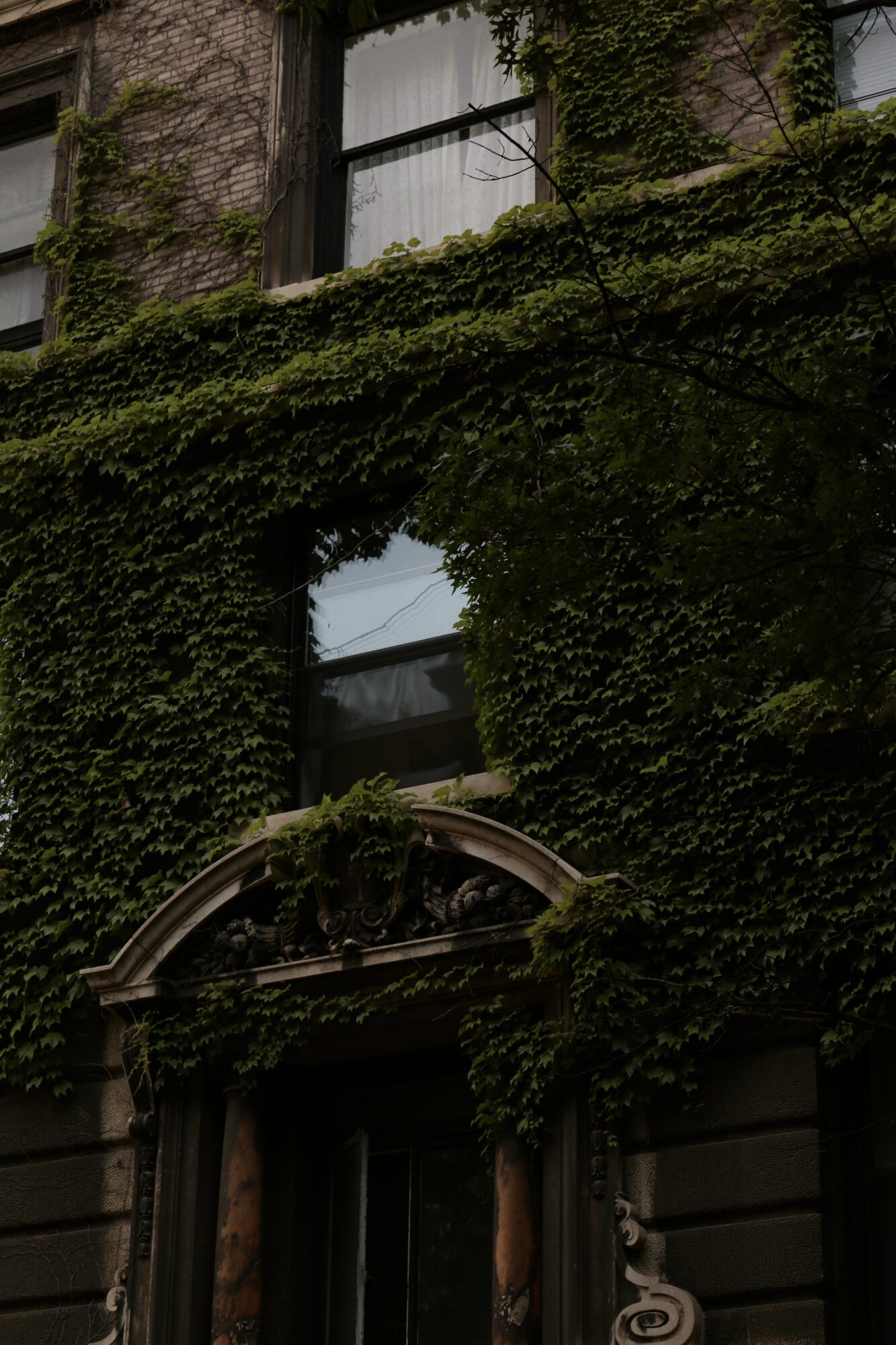 Building covered in green moss and ivy, with a window and decorative archway visible.