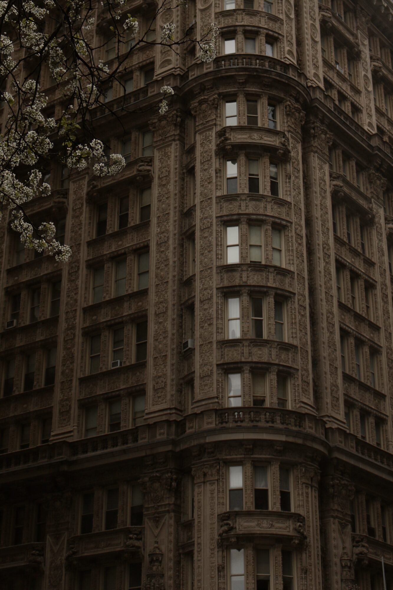 Close-up of a historic building with detailed architecture, windows, and a tree branch in the foreground.