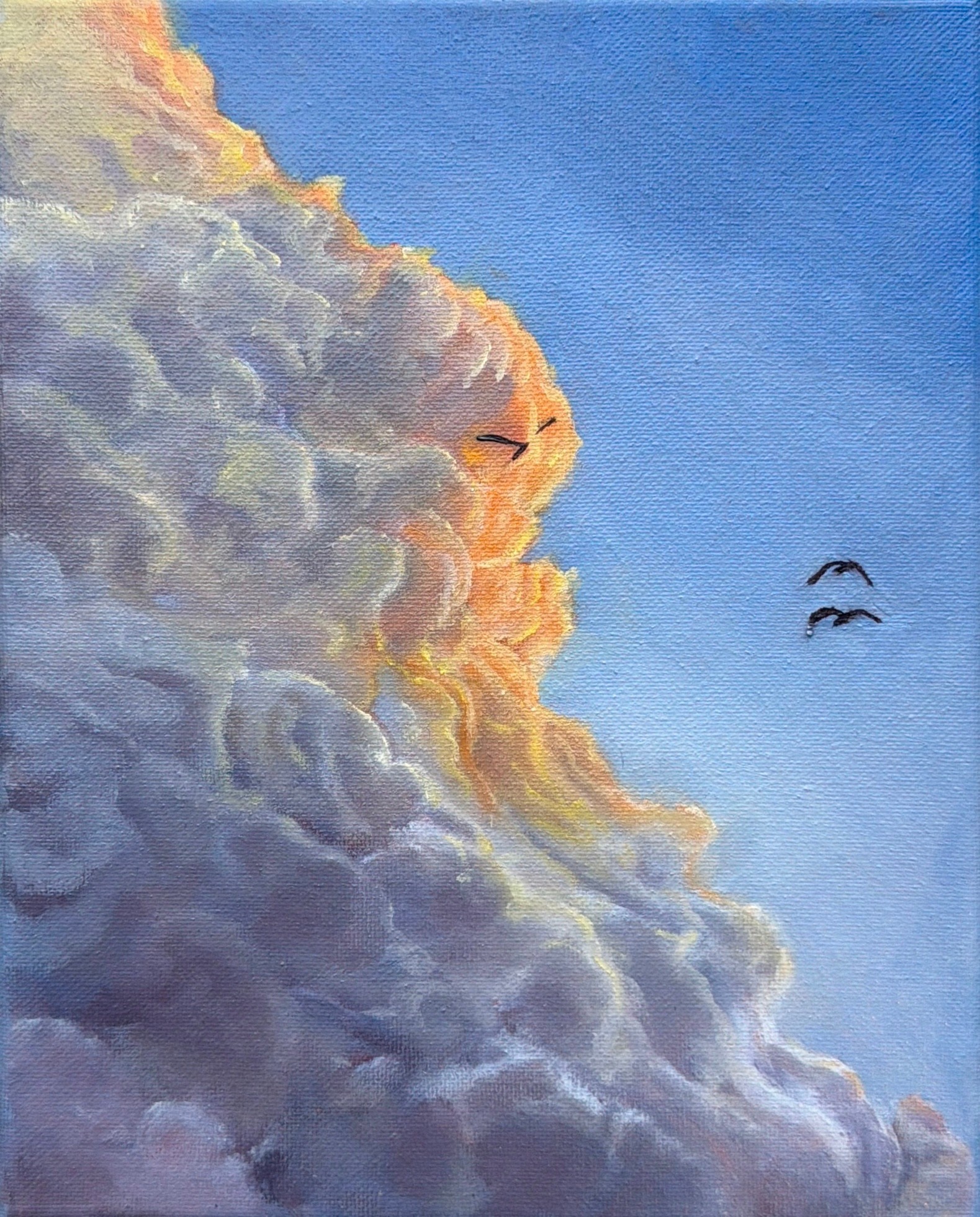 Clouds with sunlight, two birds flying in clear blue sky, peaceful scene, detailed cloud textures, bright lighting, natural colors.