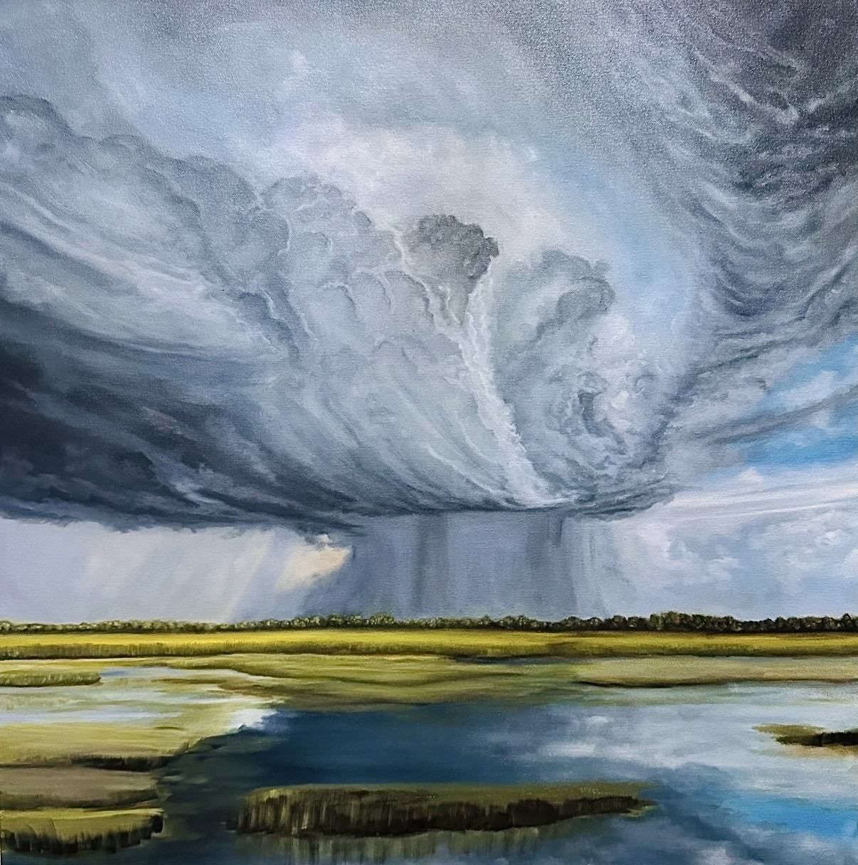 A dramatic sky with dark storm clouds over a flat landscape with water and grassy areas.