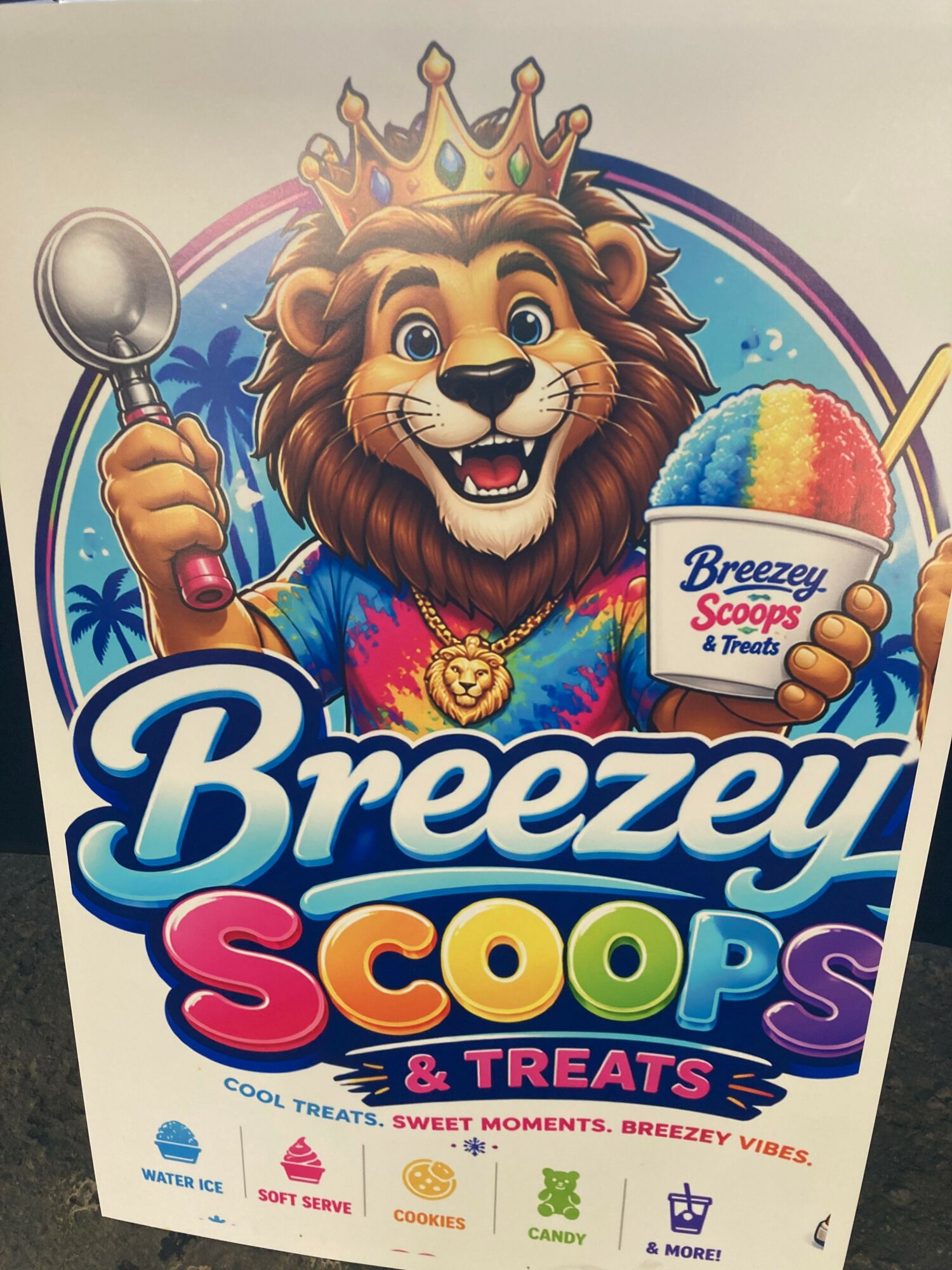Colorful game box featuring a lion wearing a crown, holding a spoon, with text about 28 treasures and a scoop.