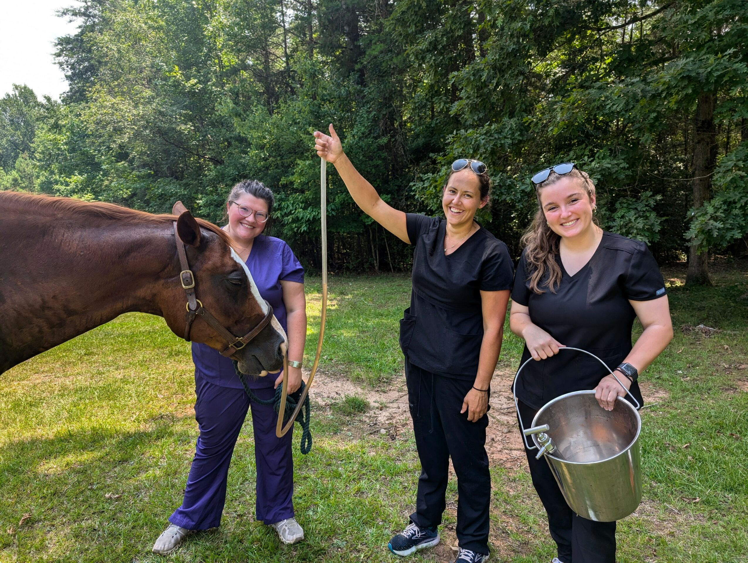 Three women stand outdoors with a horse, one holding a bucket, in a grassy area with trees in the background.