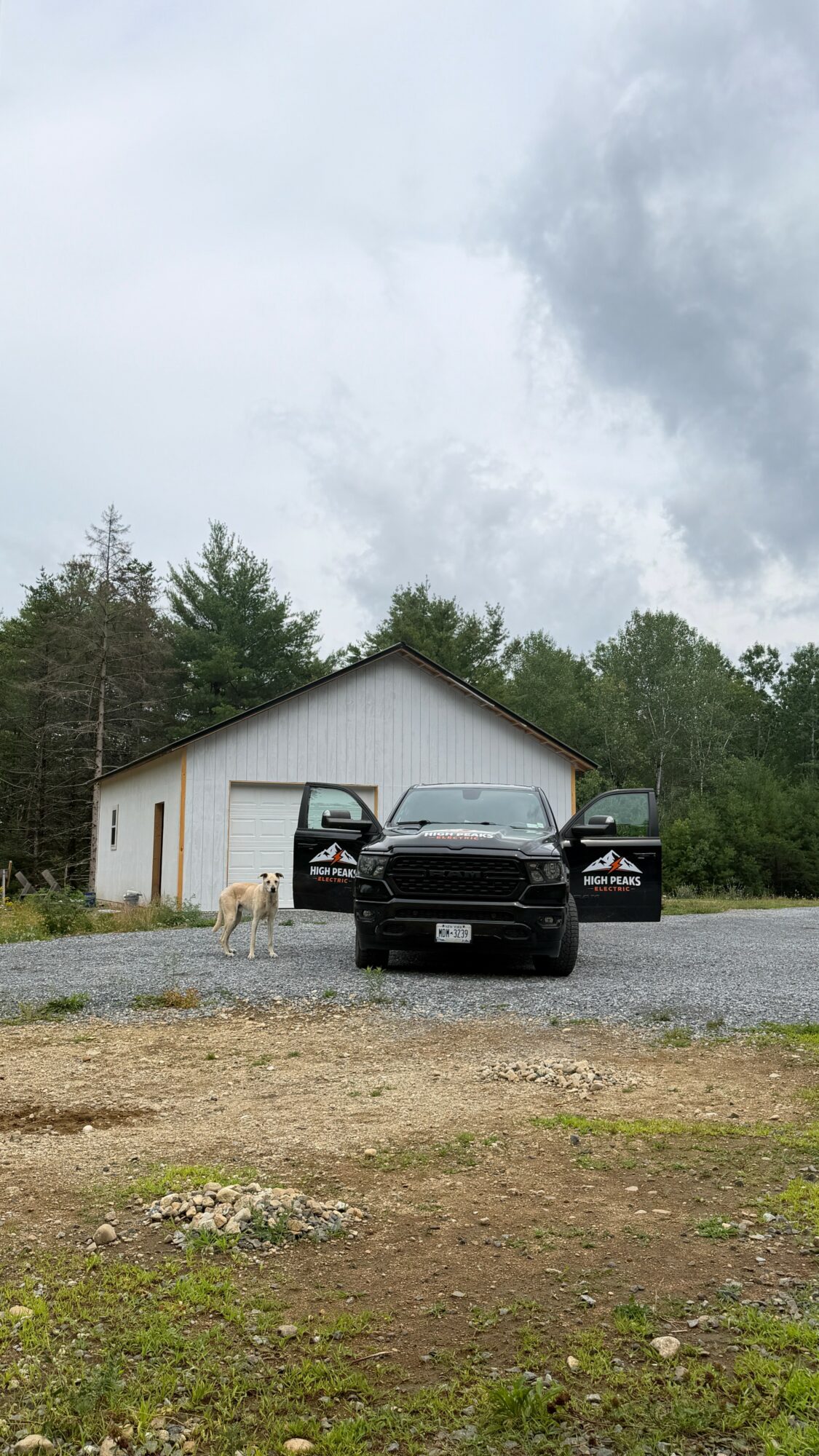 Black pickup truck with open doors parked in front of a white garage with a dog nearby, trees in background, cloudy sky.