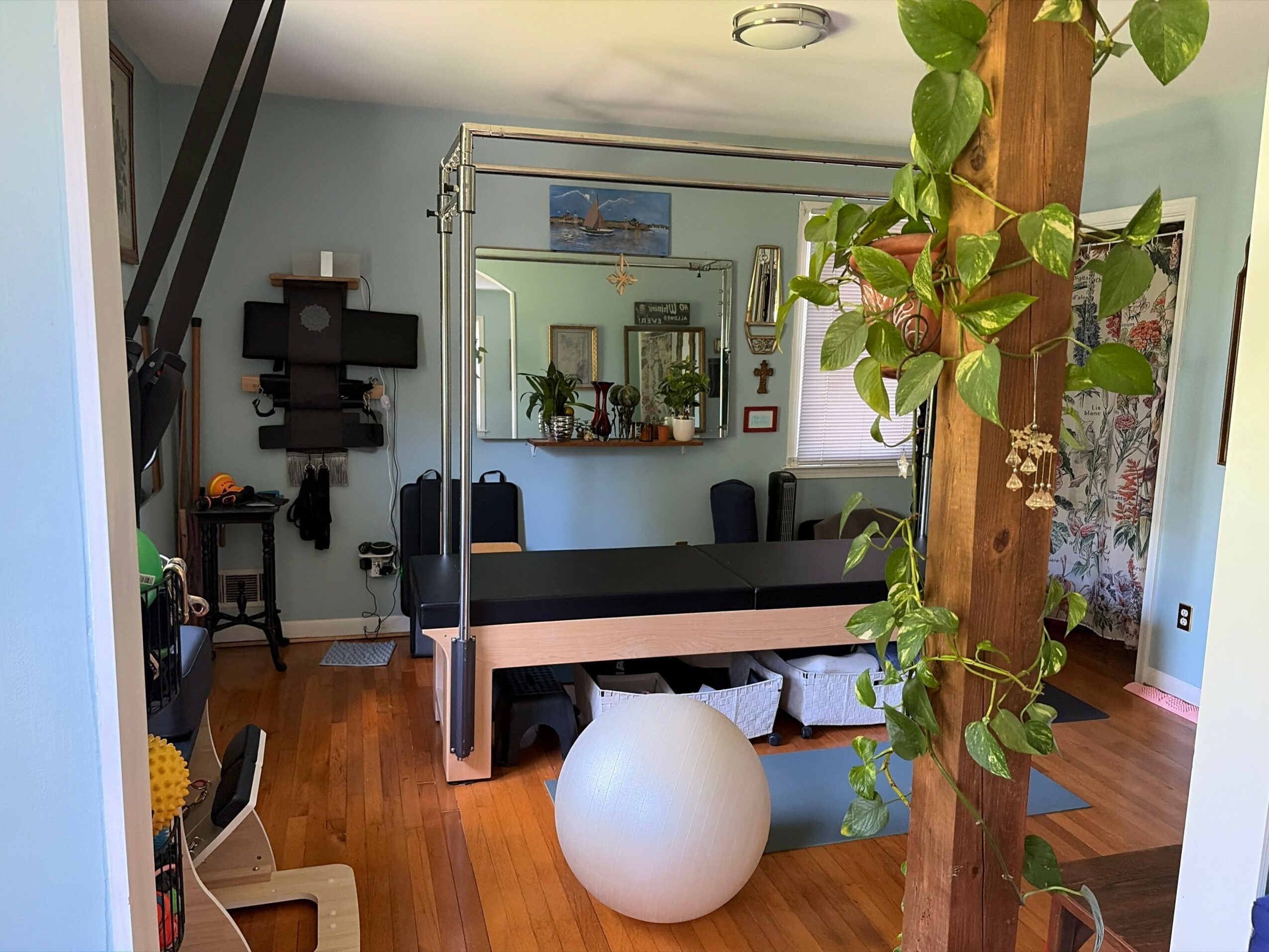 Room with a transparent partition, plants, a white round object, and wooden flooring, with furniture and decorations visible.