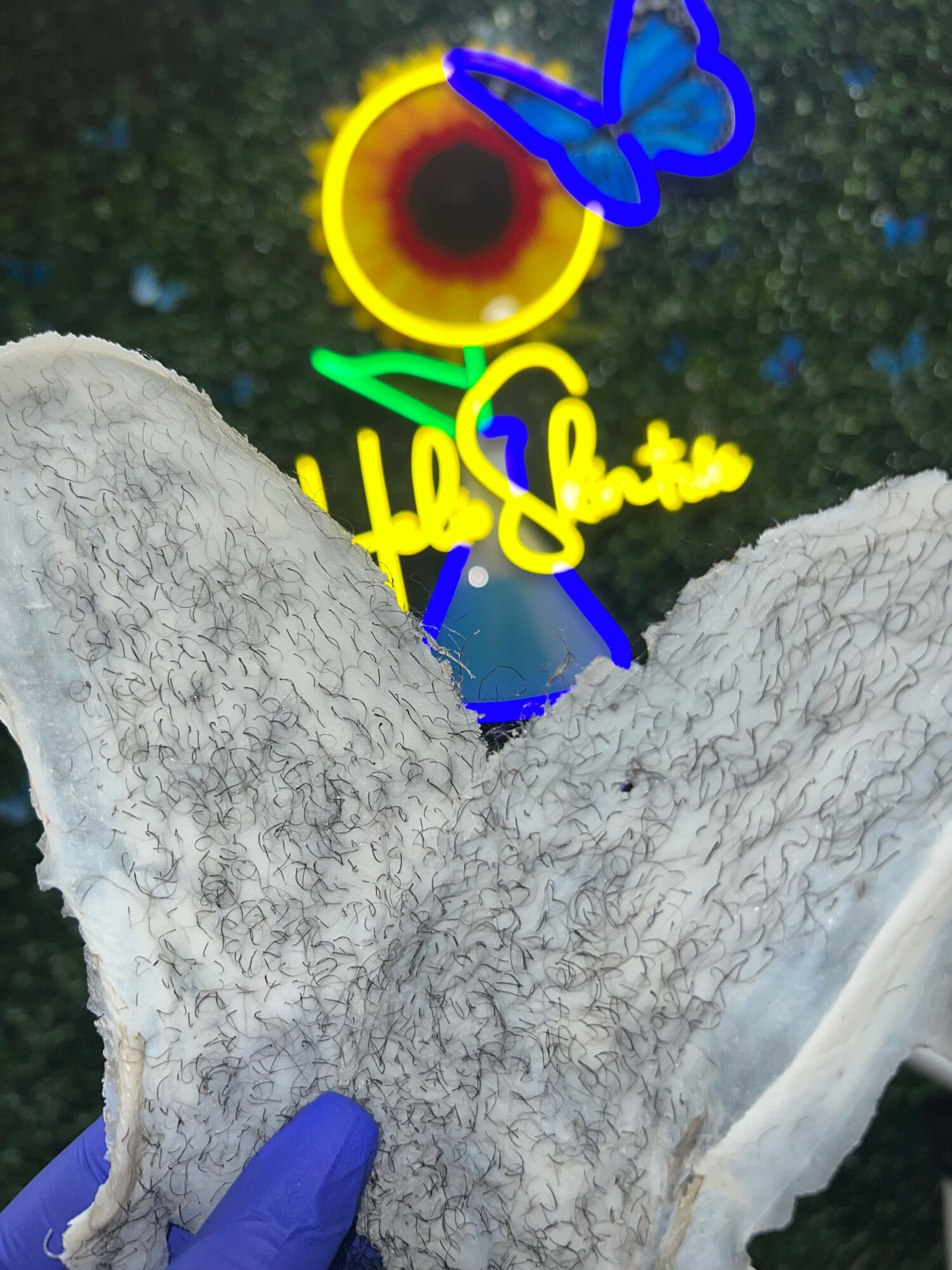 Person wearing a blue glove holding a white textured sculpture with colorful neon signs in the background.